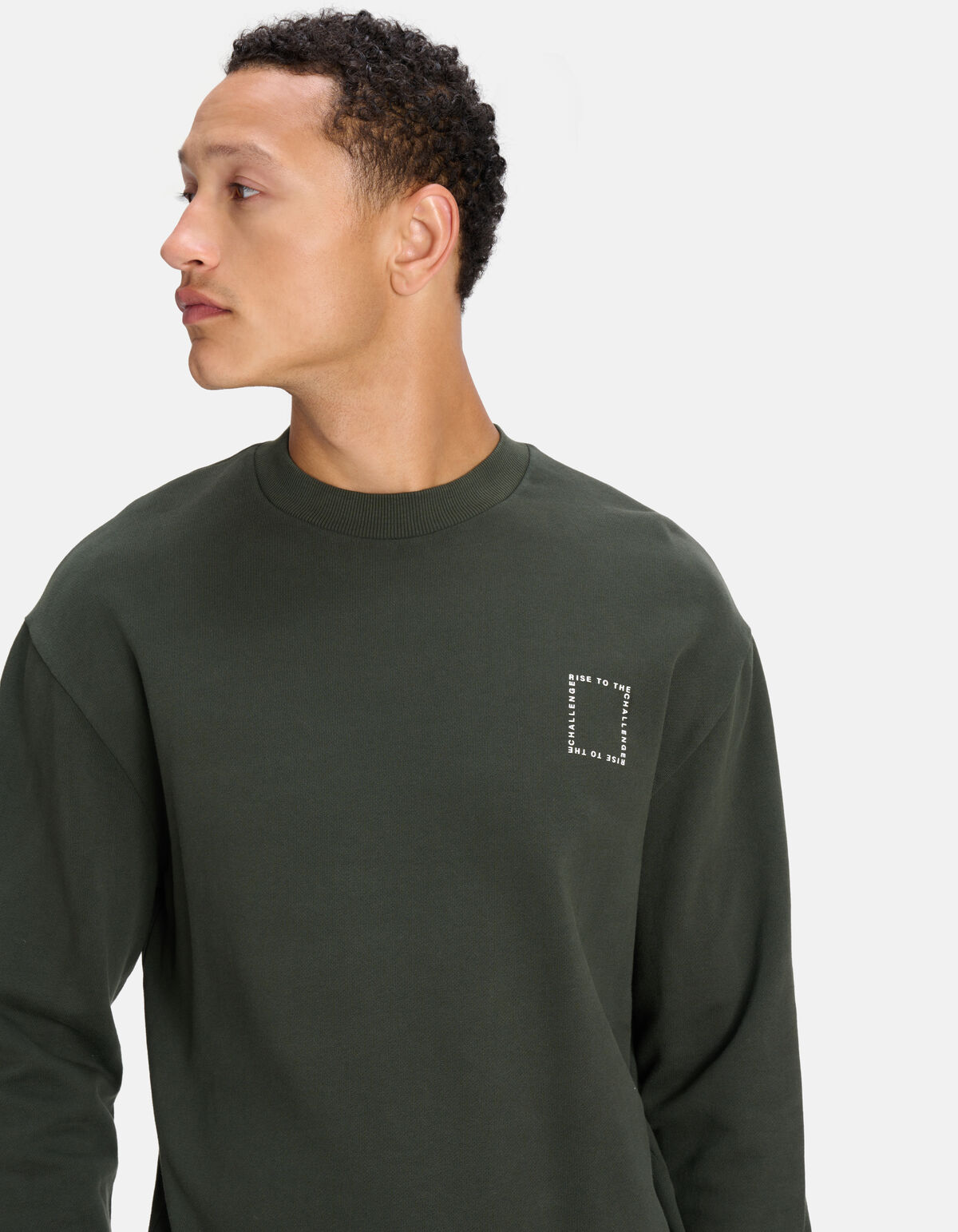 Print Pullover Dunkelgrün SHOEBY MEN