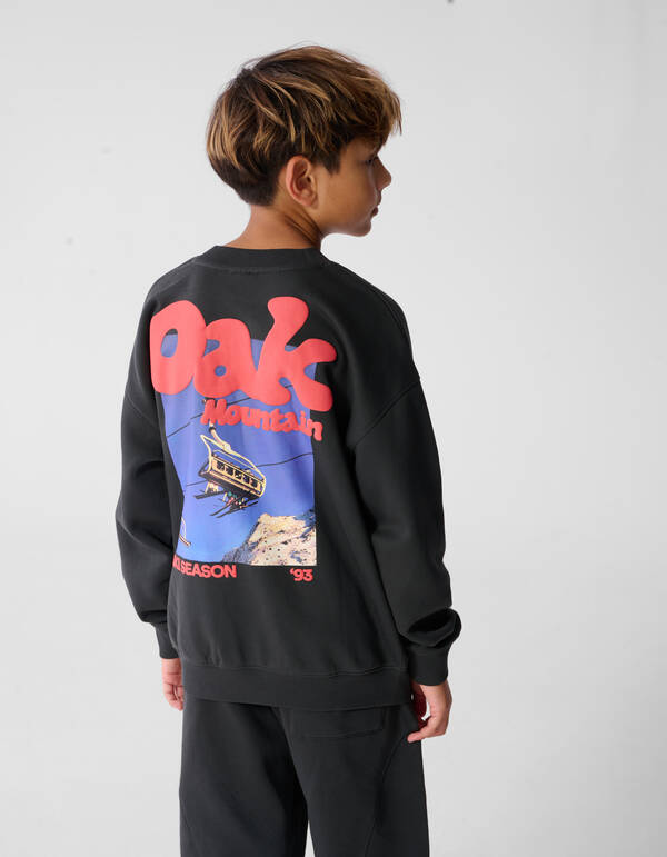 Oak Pullover Dunkelgrau SHOEBY BOYS