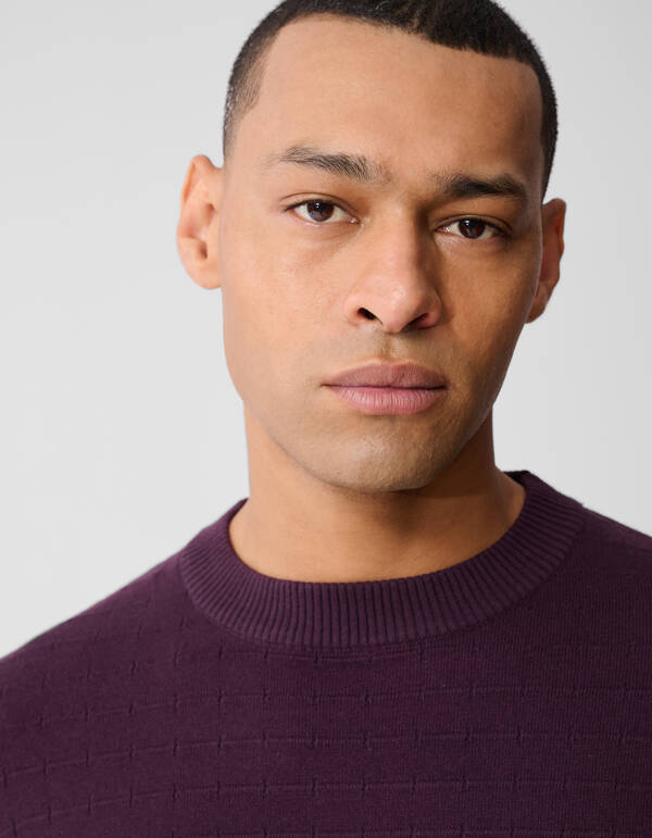 Strukturpullover Dunkelrot SHOEBY MEN