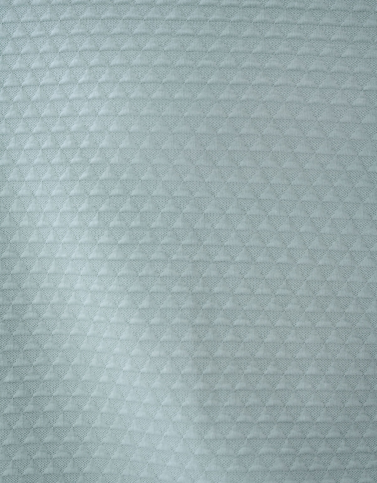 Struktur Langarmshirt Hellgr&uuml;n SHOEBY MEN