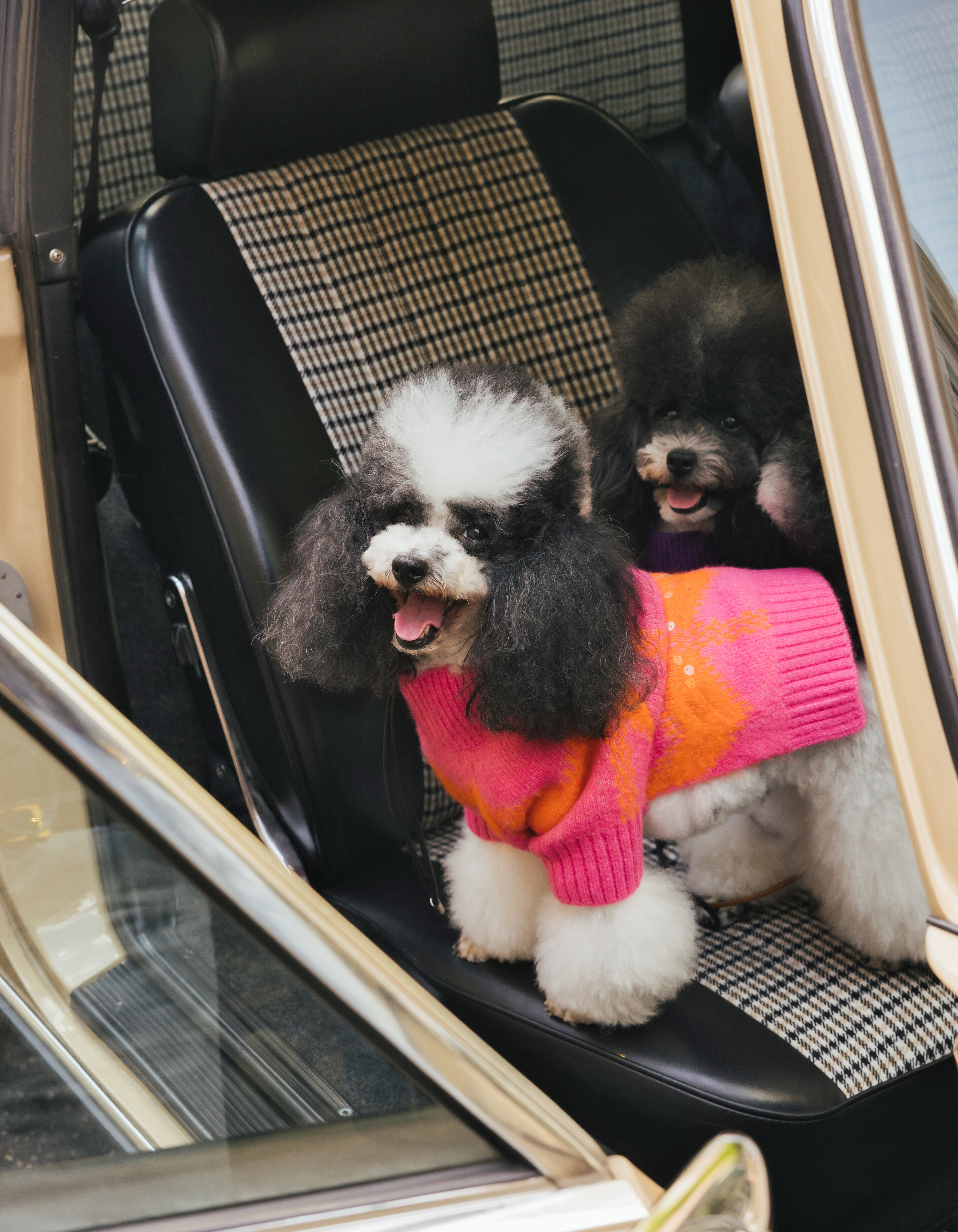 Der Pailletten Hundepullover Pink SHOEBY ACCESSOIRES