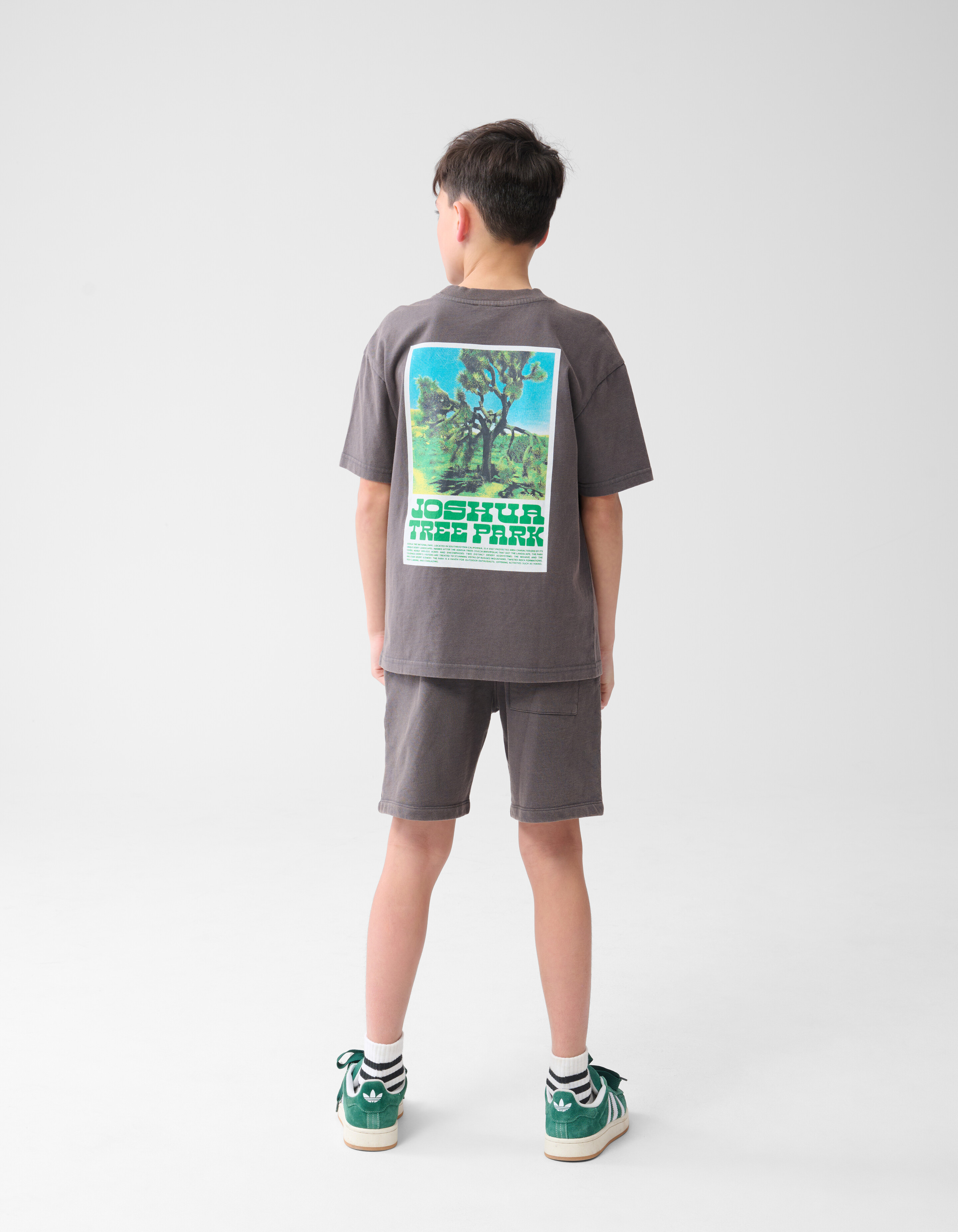Park Artwork T-Shirt Dark Grey SHOEBY BOYS