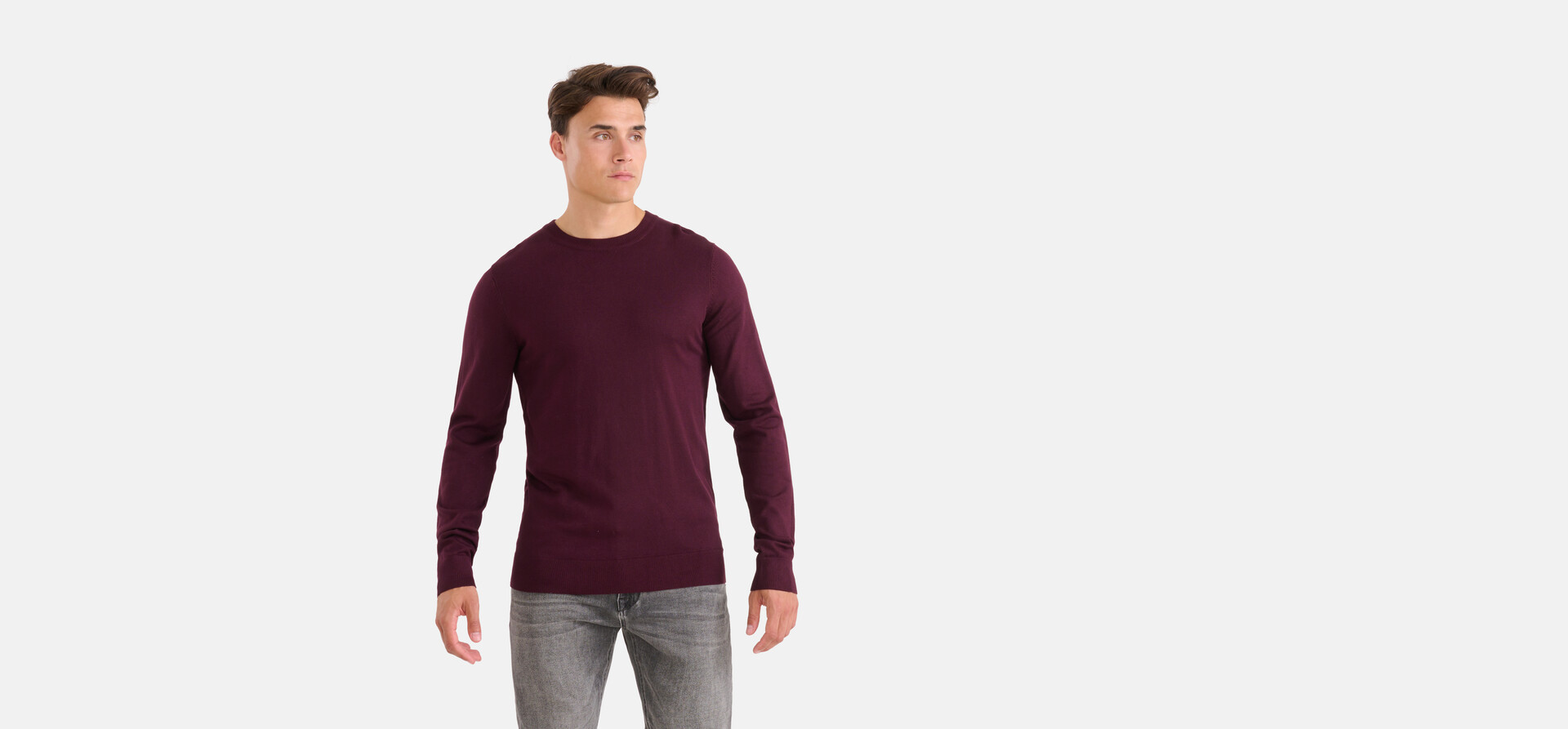 Crewneck Trui Bordeaux SHOEBY MEN