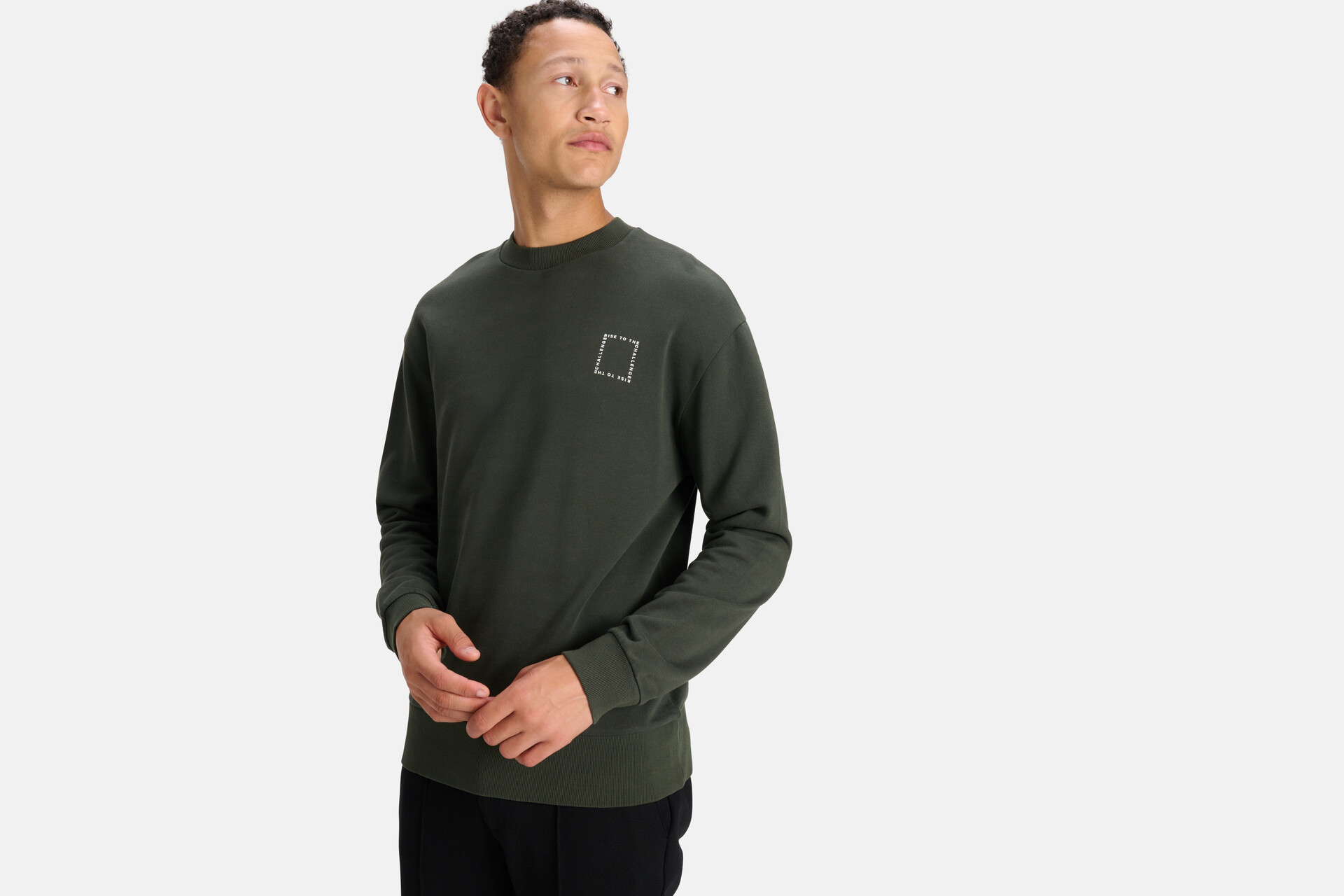 Print Pullover Dunkelgrün SHOEBY MEN