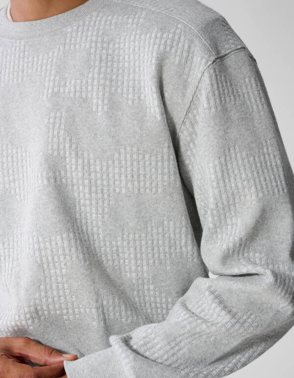 Camo Structure Pullover Hellgrau SHOEBY MEN