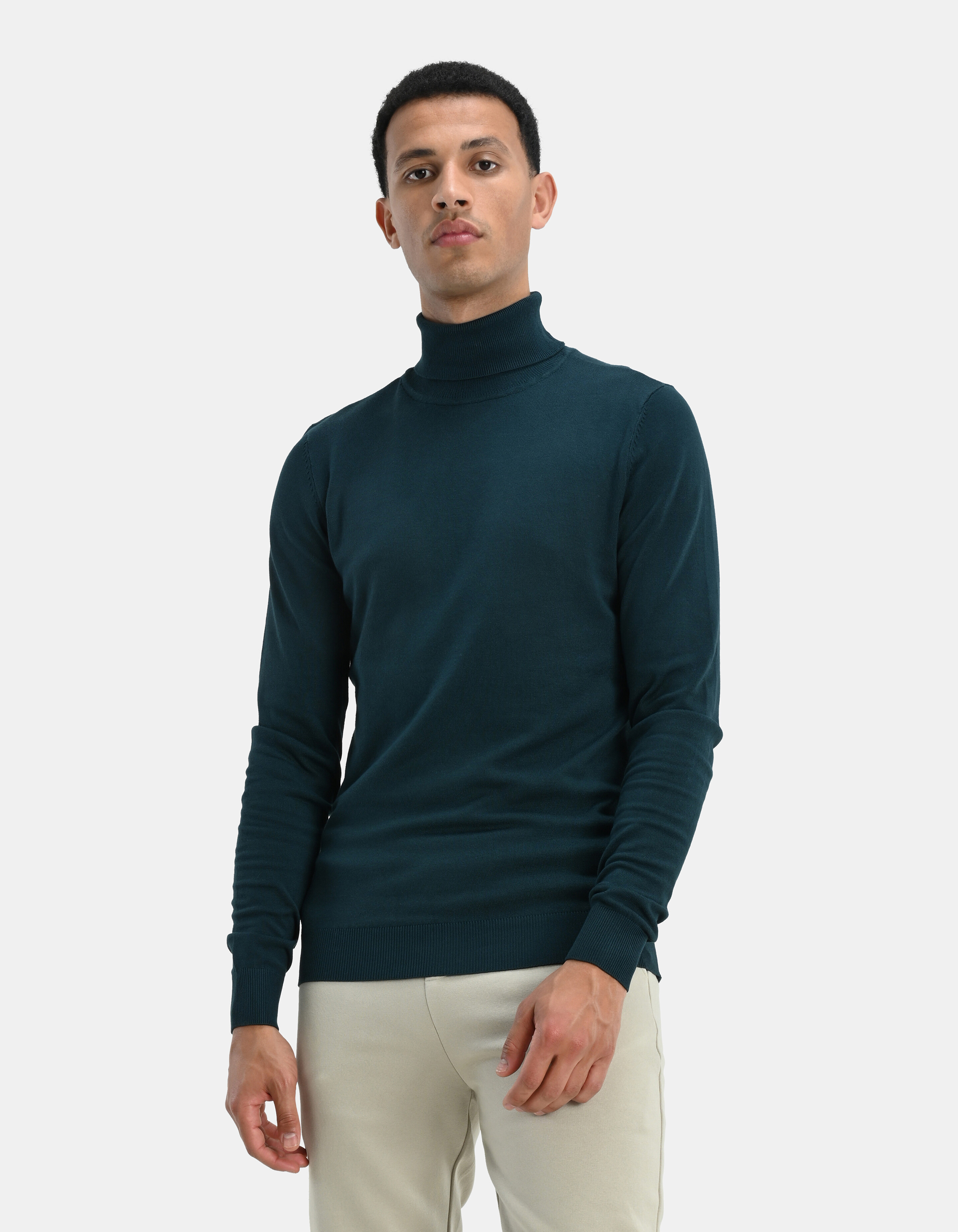 Rollkragenpullover Dunkelgrün SHOEBY MEN