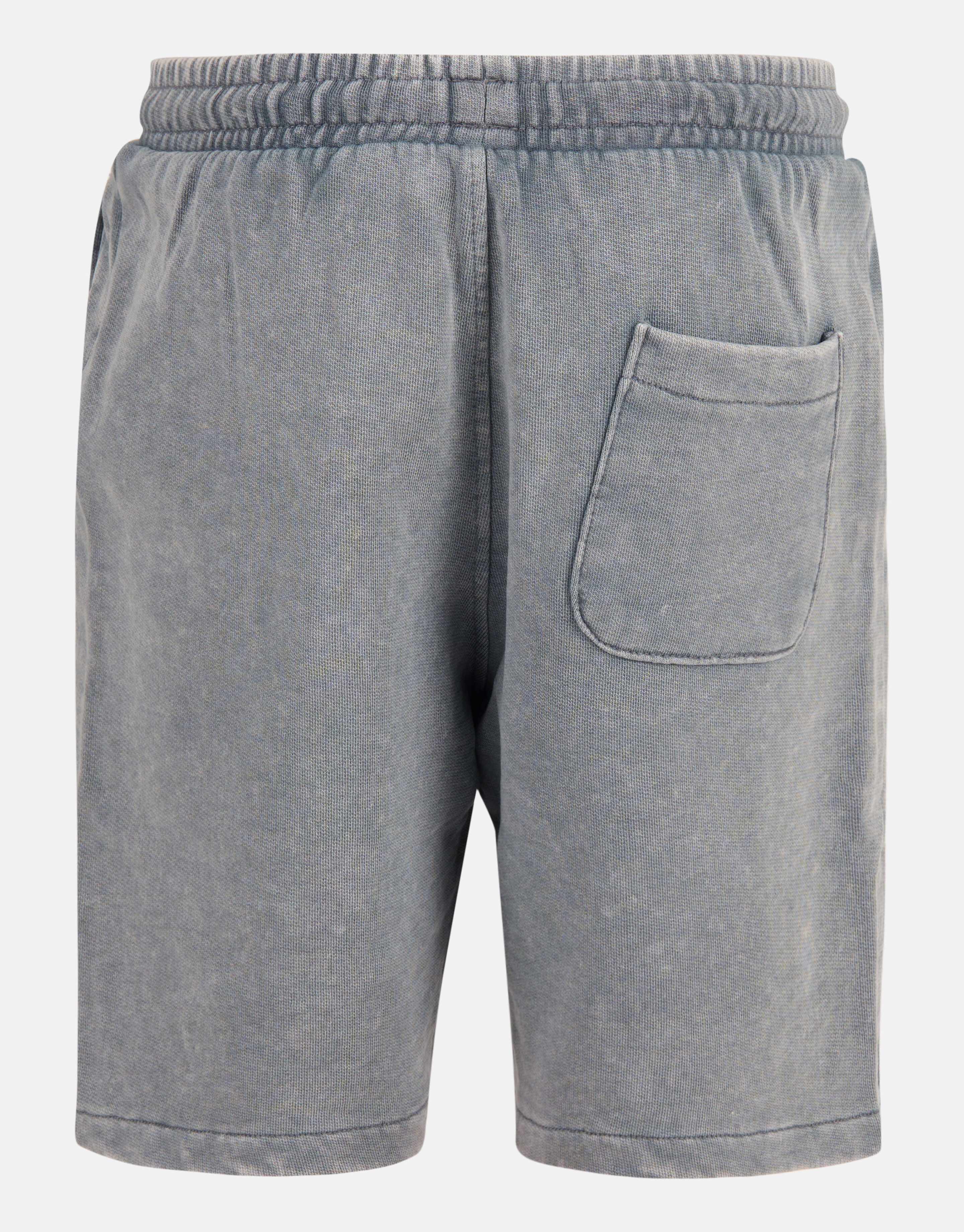 Printed Shorts Hellgrau SHOEBY BOYS