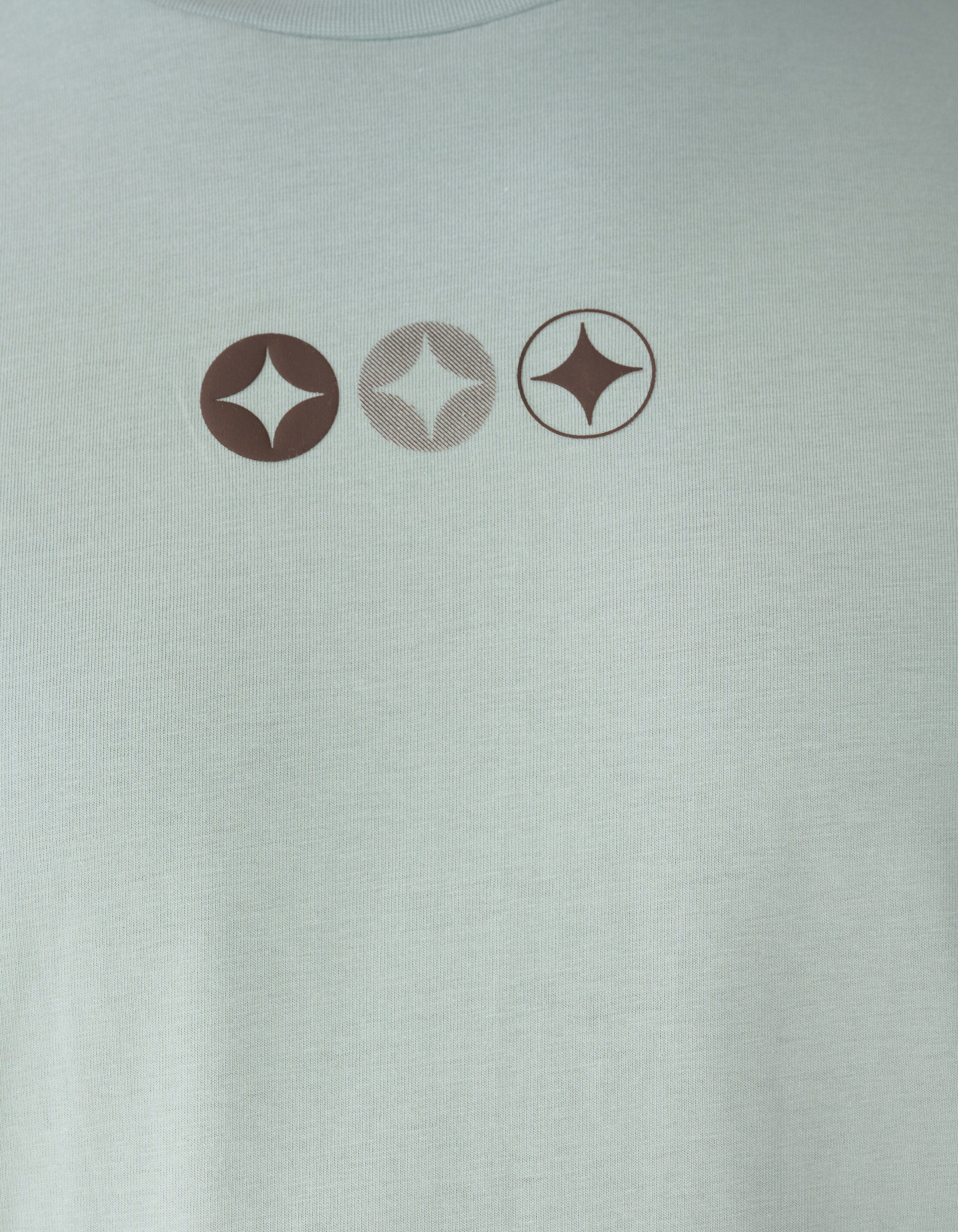Spark Logo Artwork T-Shirt Hellgr&uuml;n SHOEBY MEN