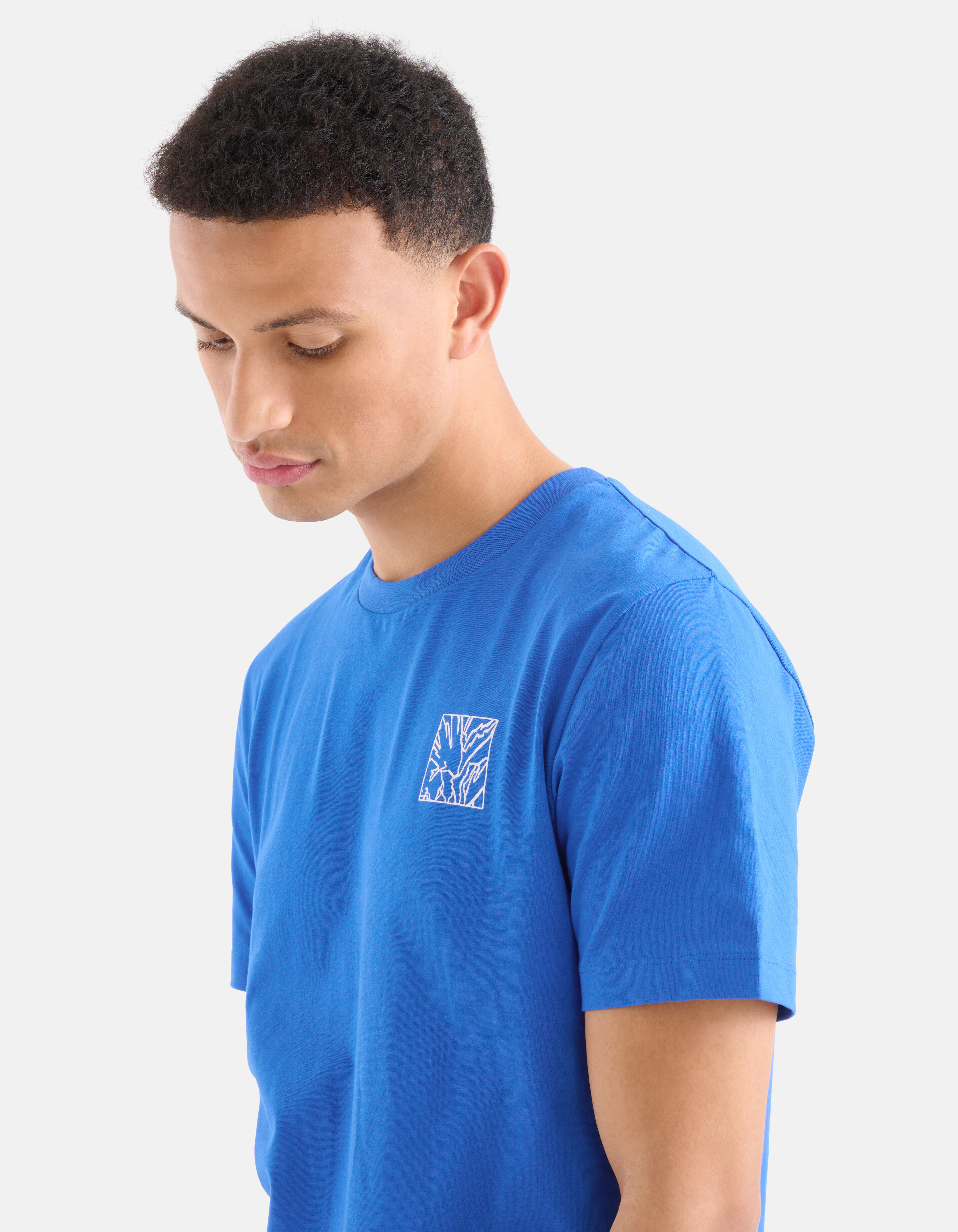 Line T-shirt Blau SHOEBY MEN