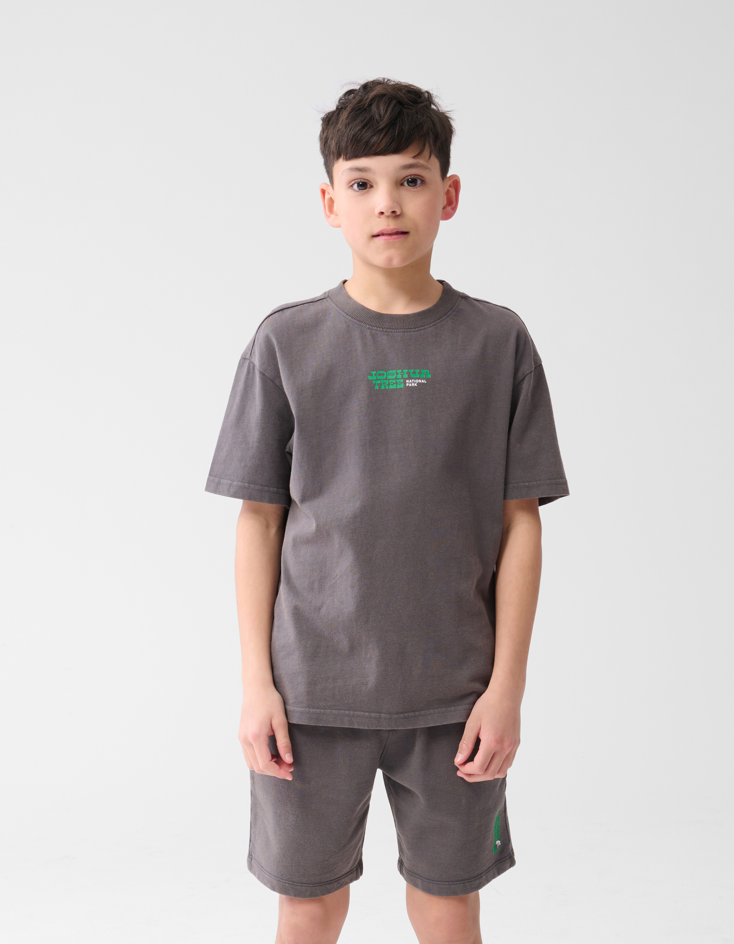 Park Artwork T-Shirt Dark Grey SHOEBY BOYS