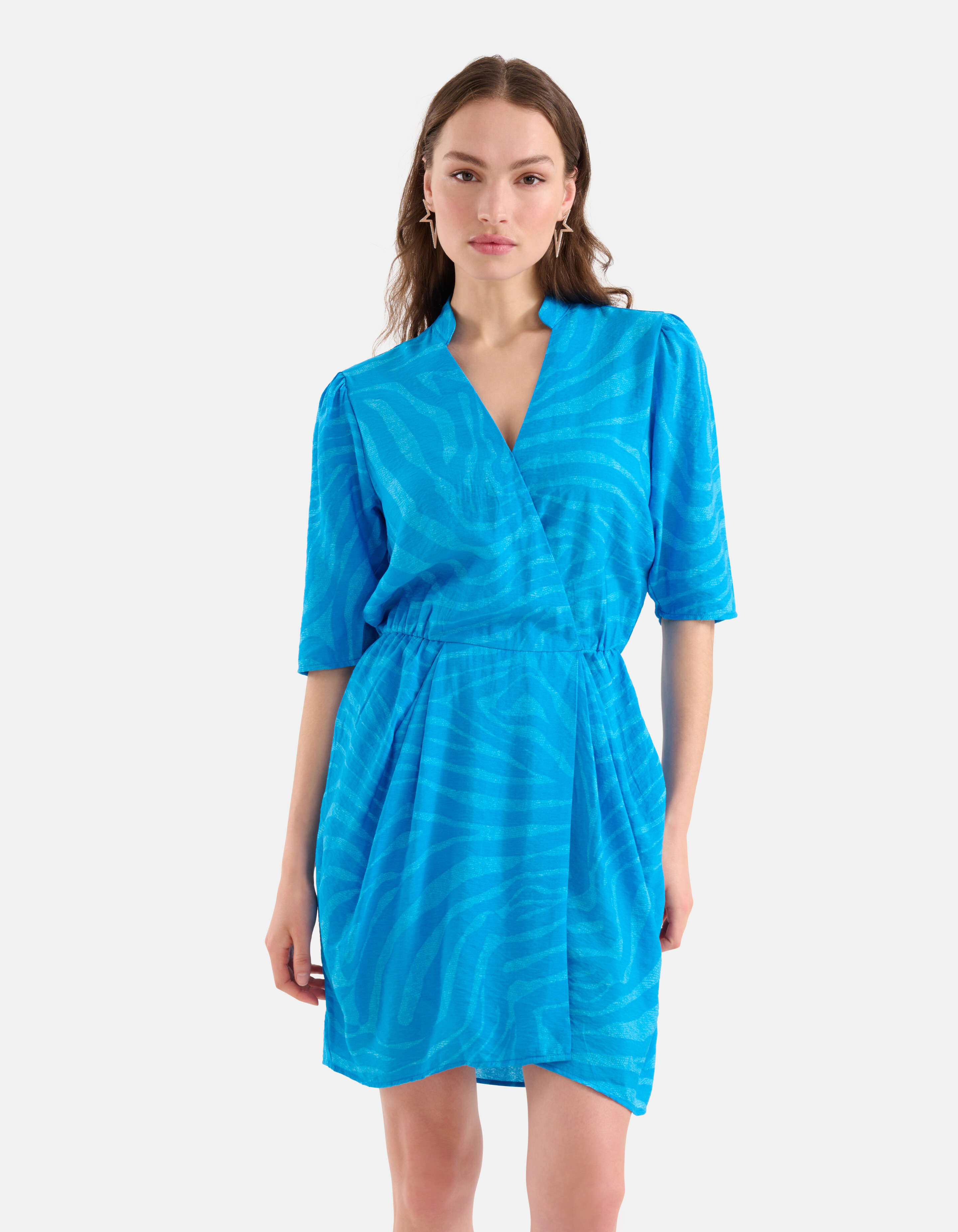 Zebra Print Kleid Blau SHOEBY WOMEN