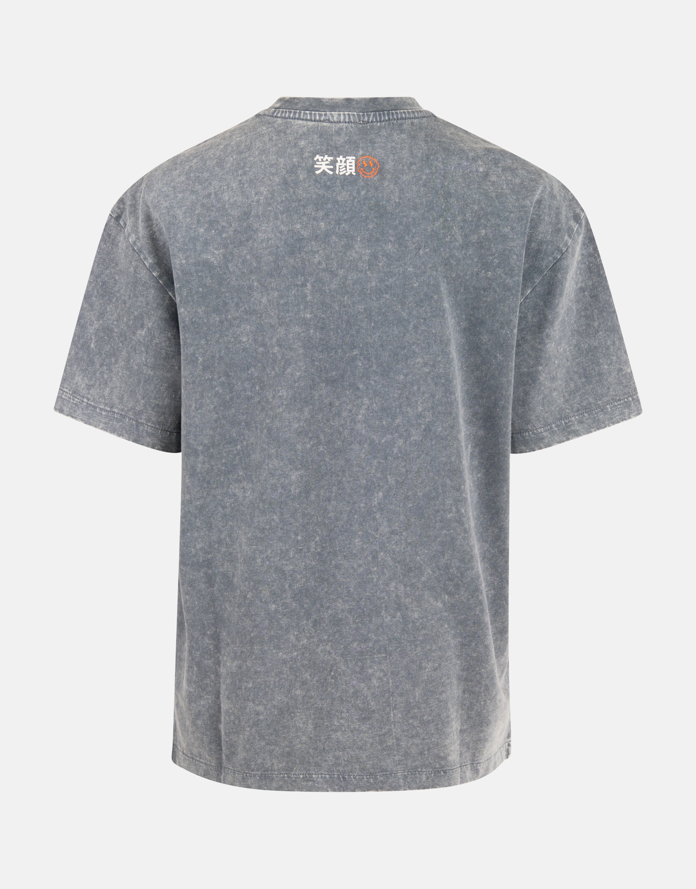 Gewaschenes T-shirt Hellgrau SHOEBY BOYS