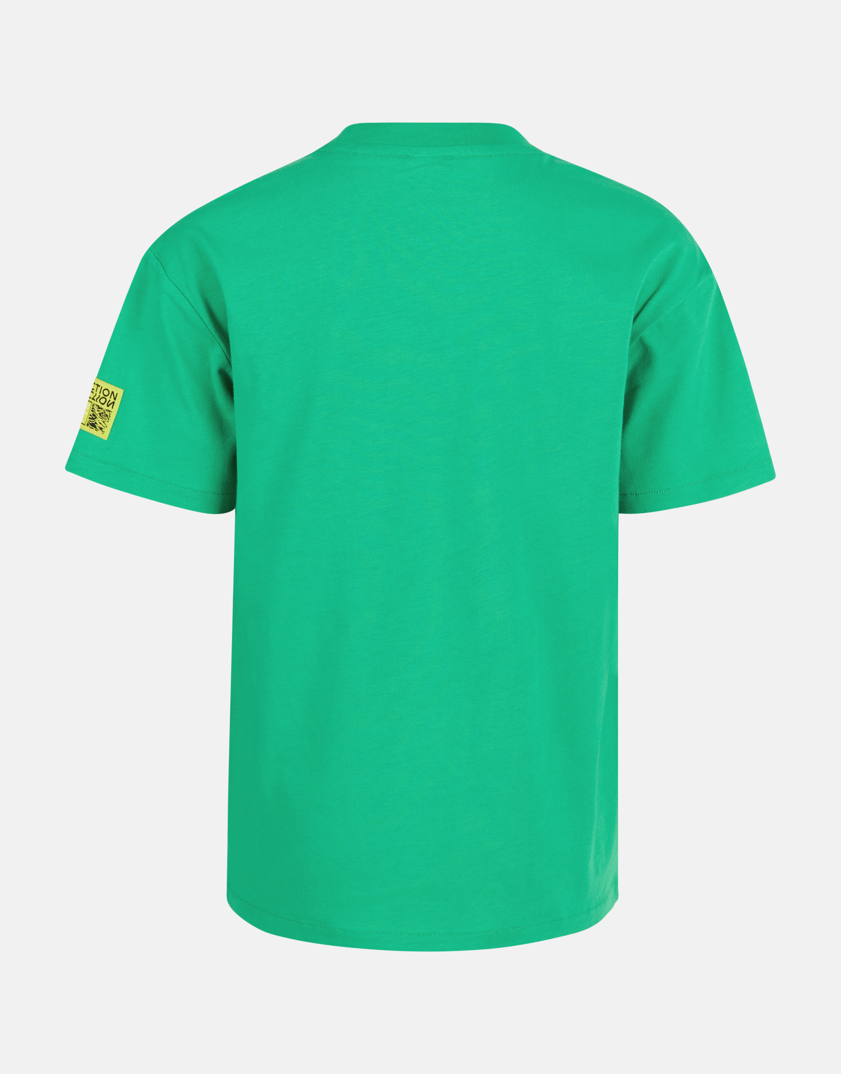 Relaxed Fit T-shirt Grün SHOEBY BOYS