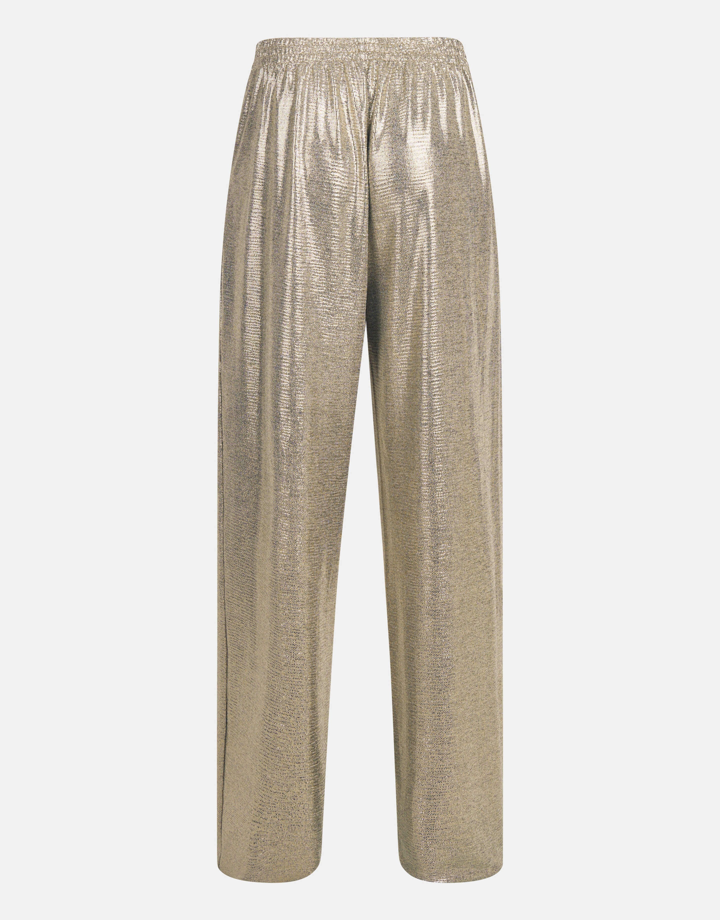 Beschichtete Hose Silber SHOEBY WOMEN