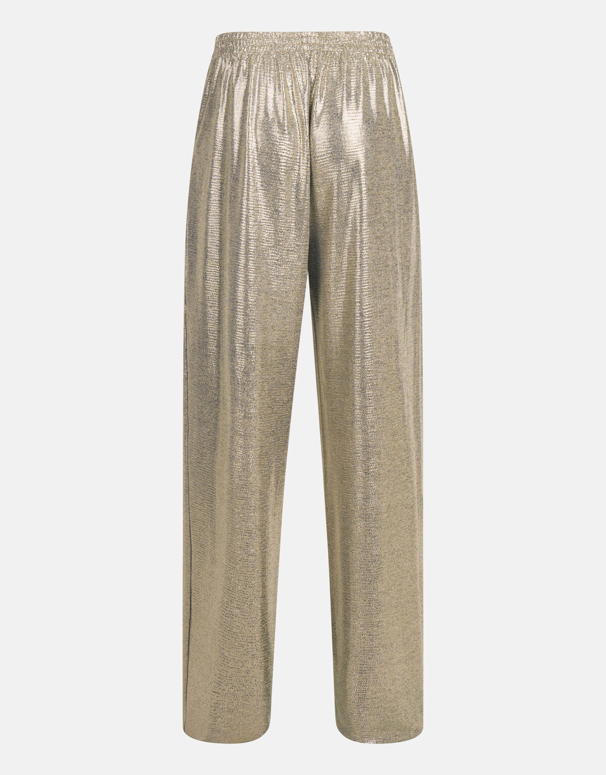Beschichtete Hose Silber SHOEBY WOMEN