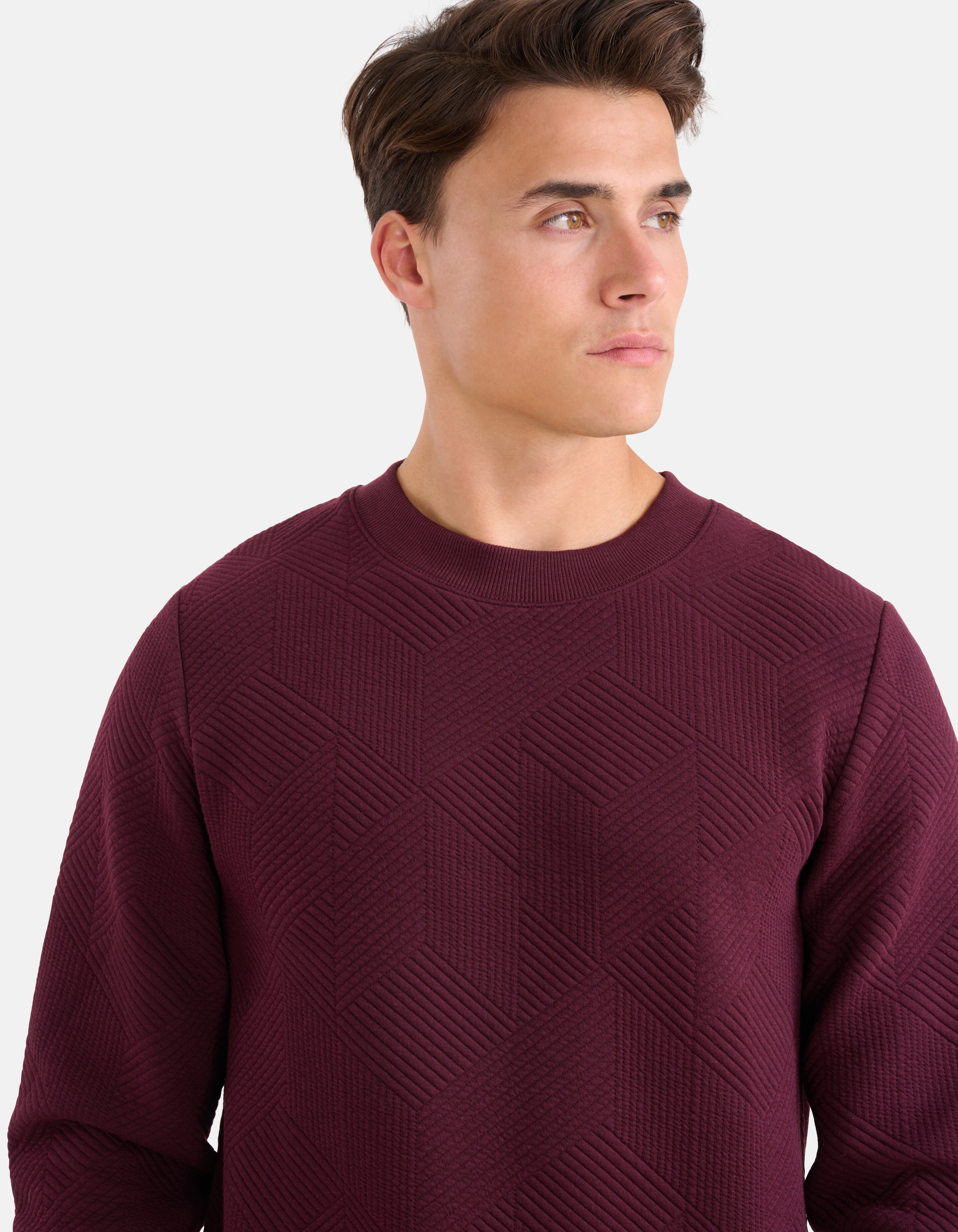 Geometrischer Pullover Bordeaux SHOEBY MEN