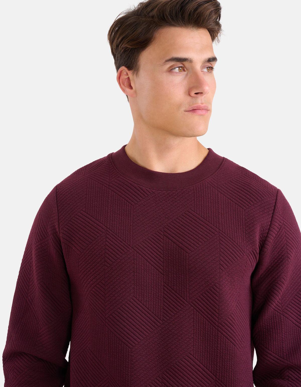 Geometrischer Pullover Bordeaux SHOEBY MEN