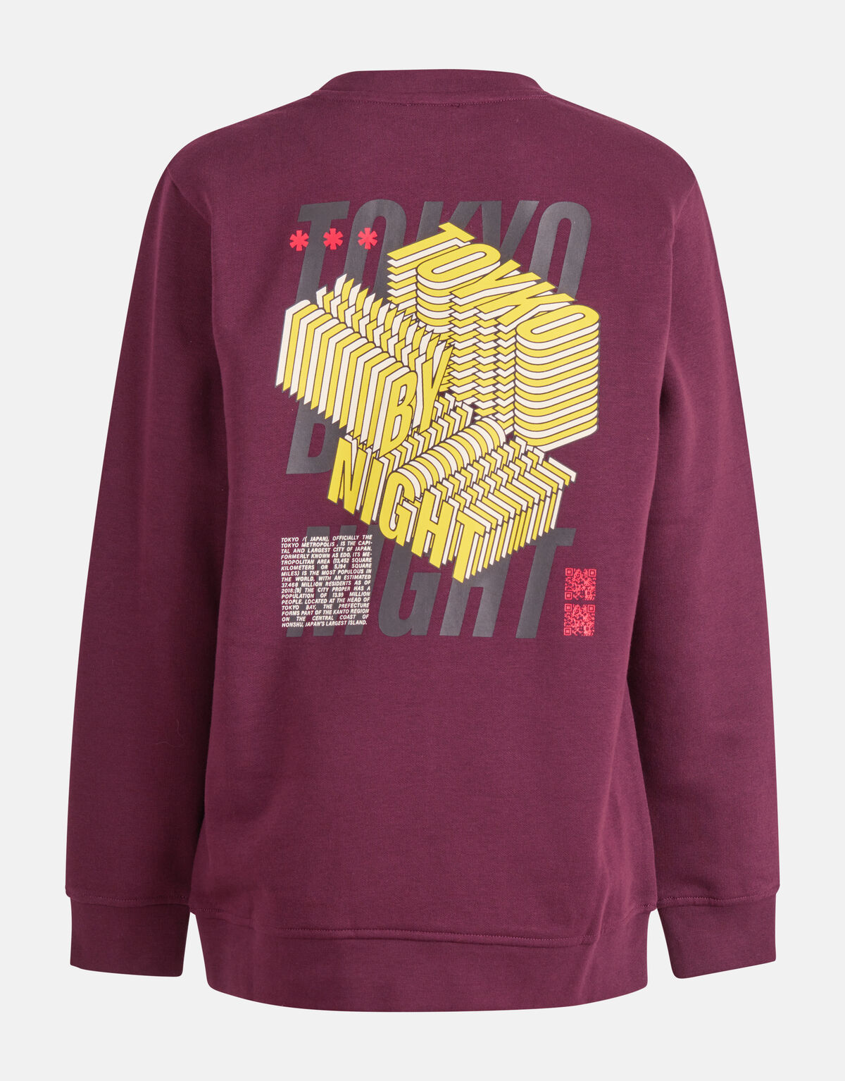 Artwork Pullover Bordeaux SHOEBY BOYS