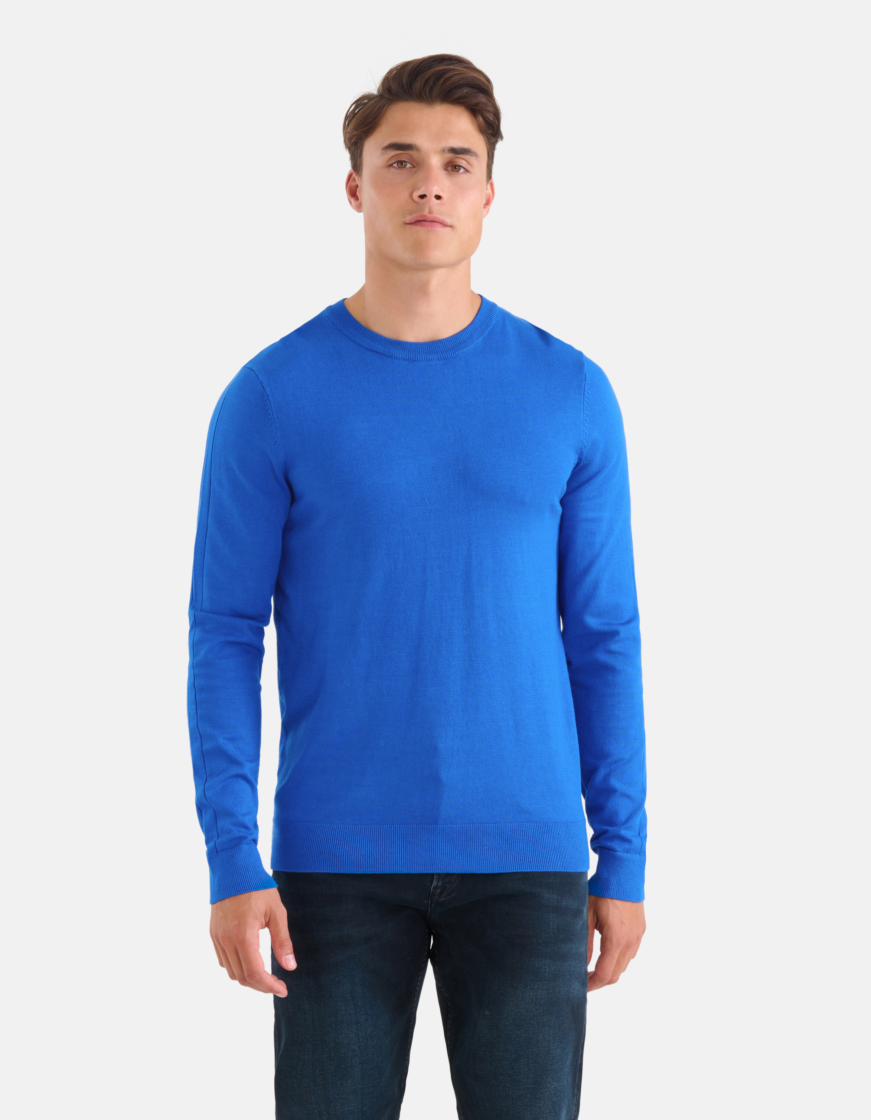 Rollkragenpullover Blau SHOEBY MEN