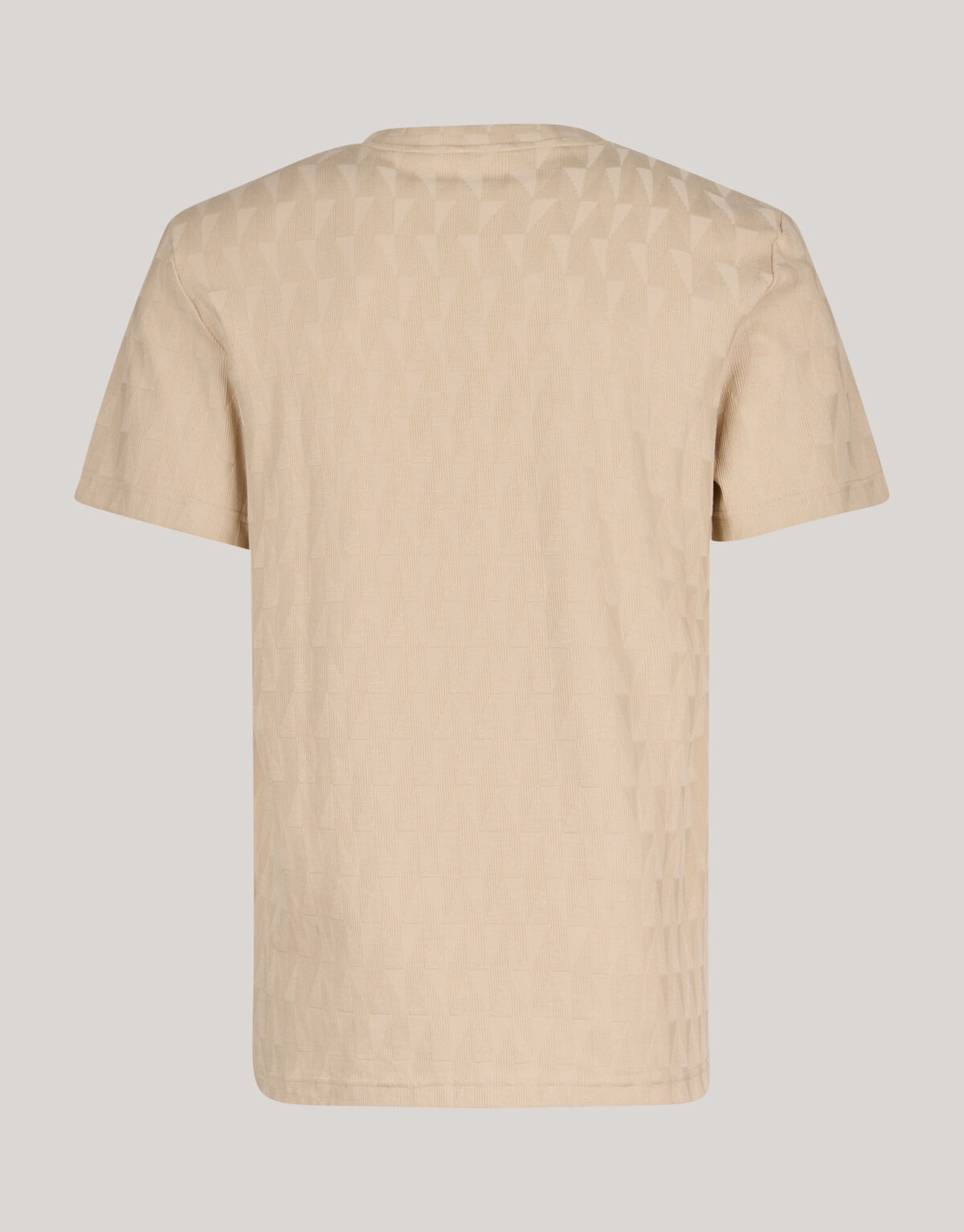 Jacquard T-shirt Sand SHOEBY MEN