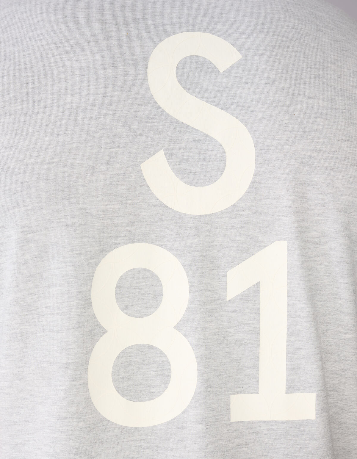 S81 Artwork T-Shirt Hellgrau SHOEBY MEN