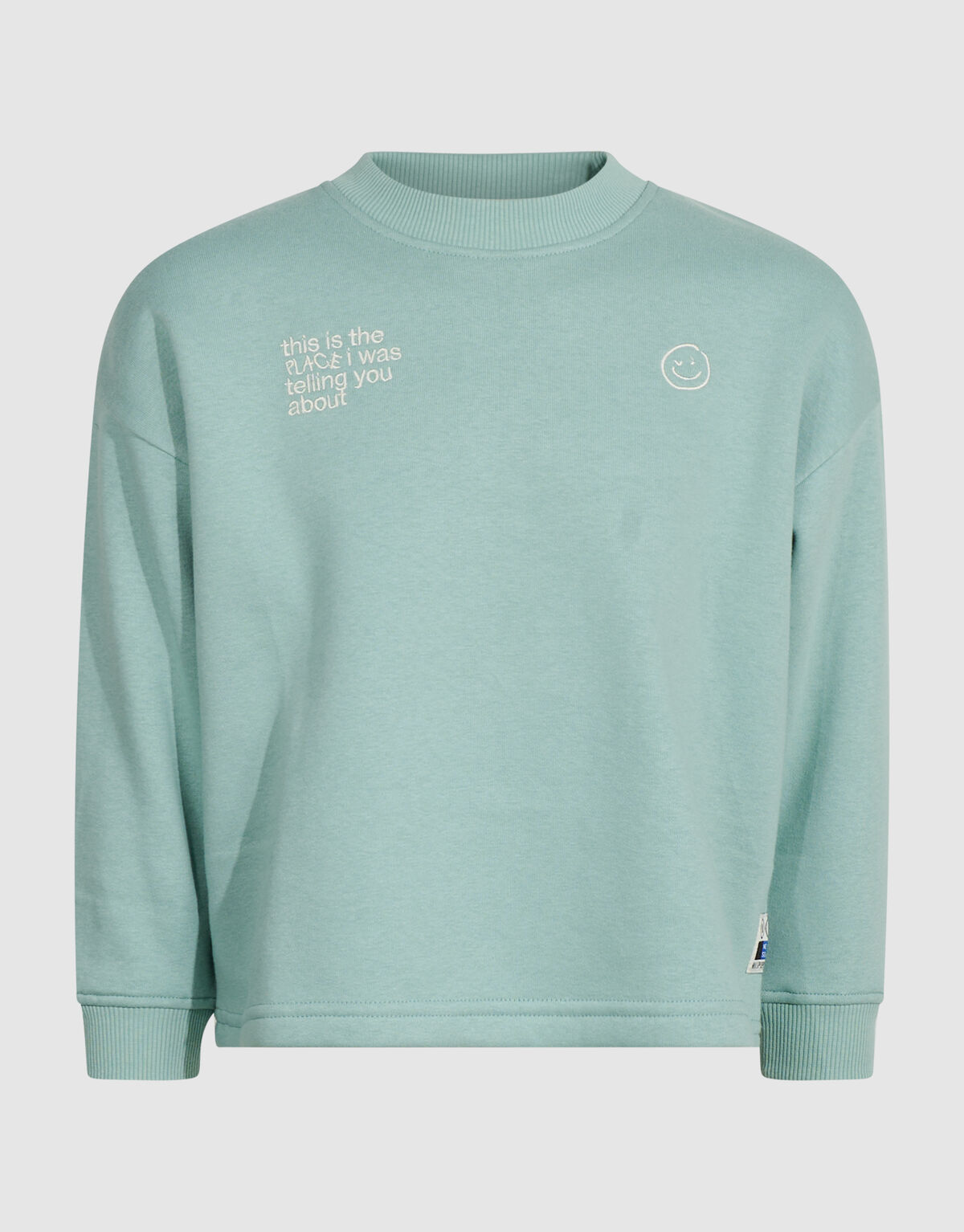 Oversized Artwork-Sweatshirt Hellgr&uuml;n SHOEBY BOYS