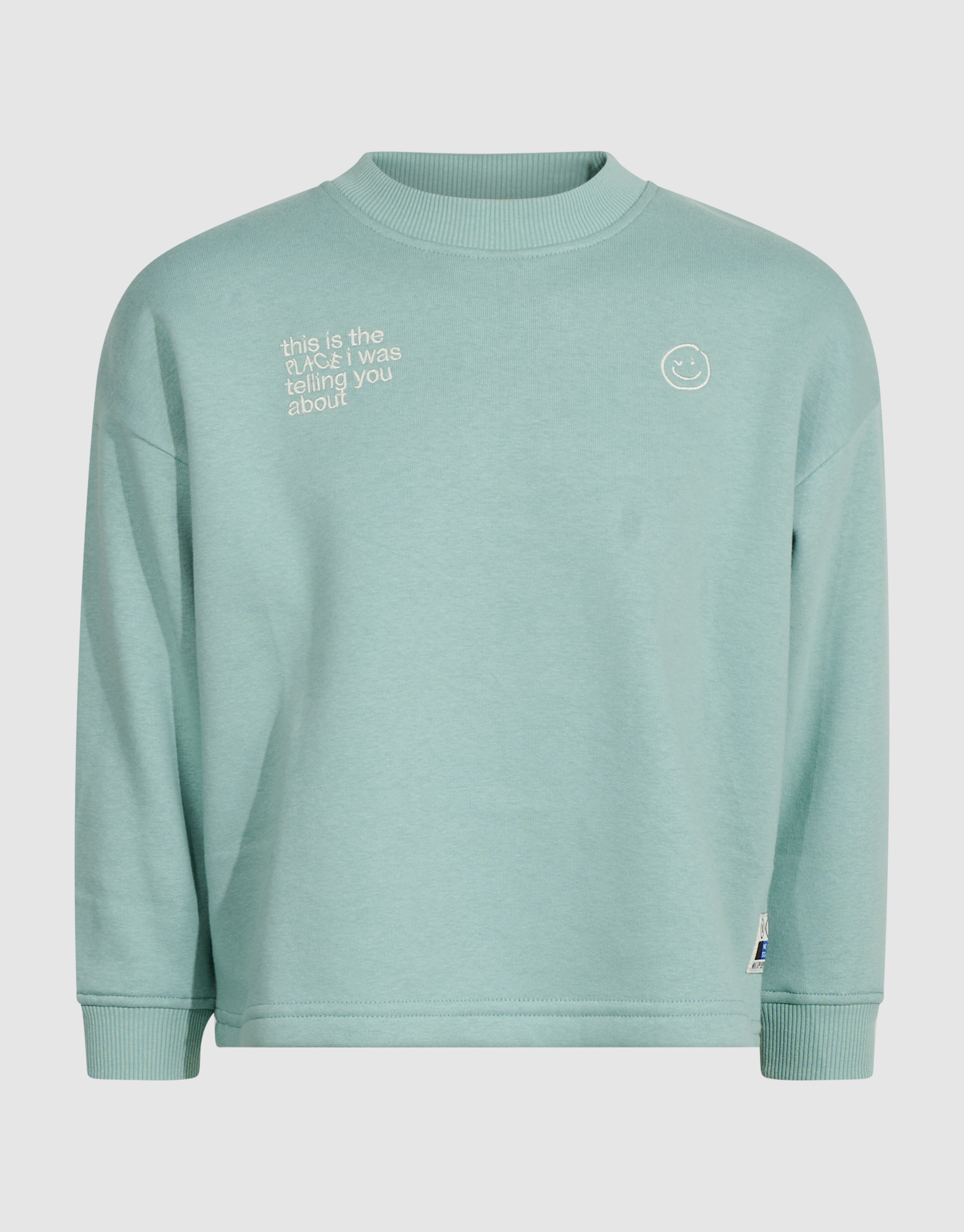 Oversized Artwork-Sweatshirt Hellgr&uuml;n SHOEBY BOYS