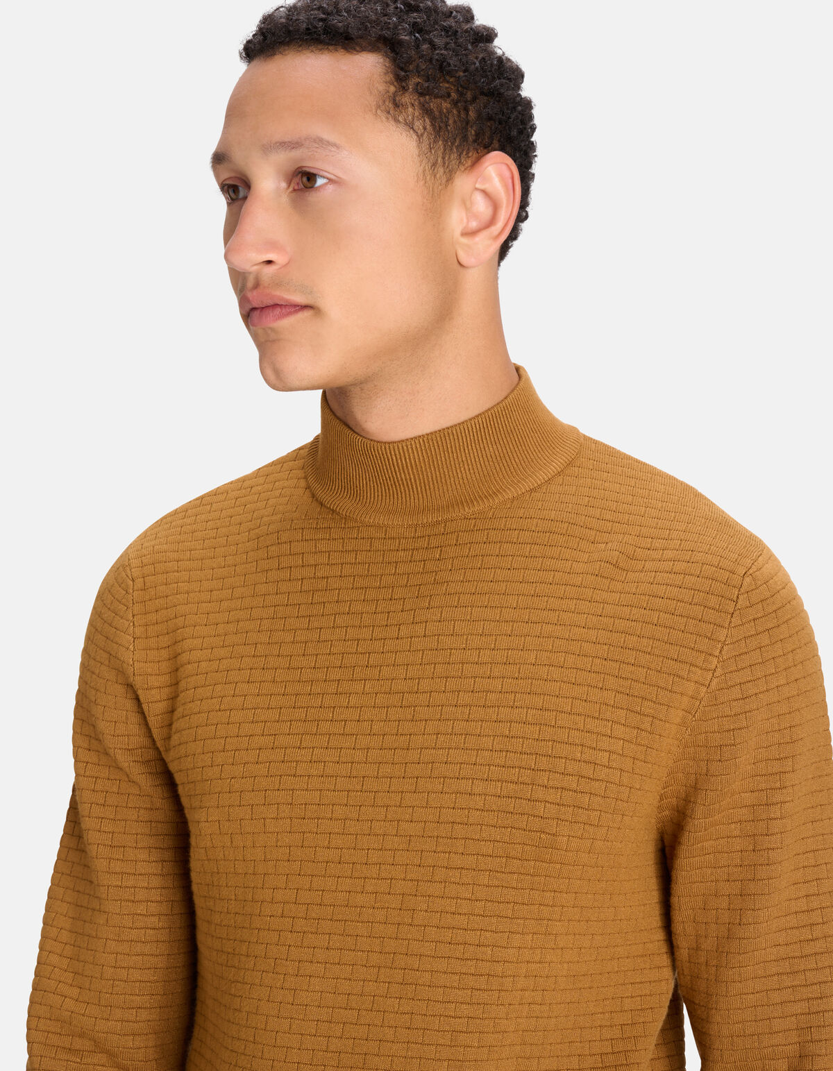 Rollkragenpullover mit Blockmuster Braun SHOEBY MEN