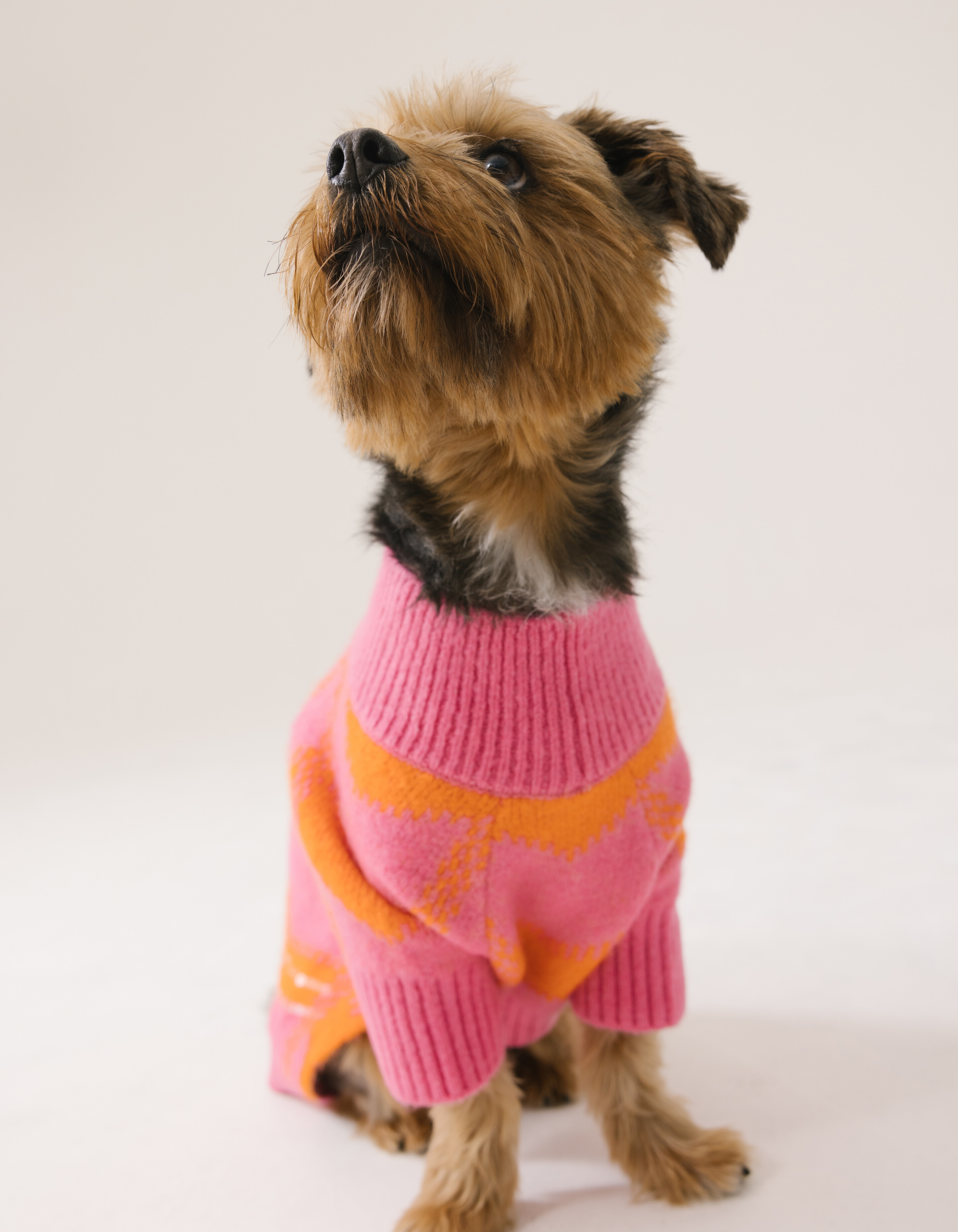 Der Pailletten Hundepullover Pink SHOEBY ACCESSOIRES