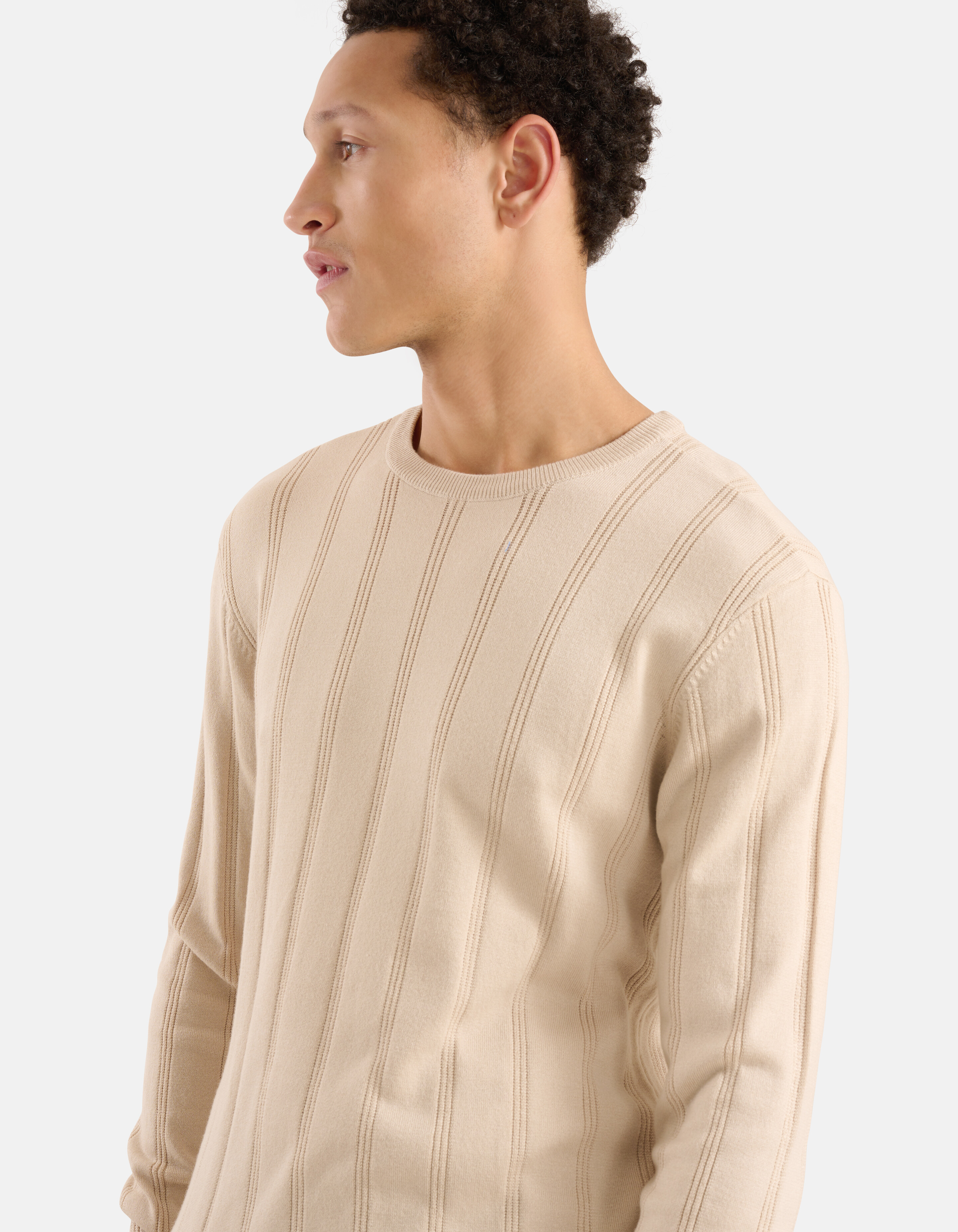 Gestreifter Pullover mit Rundhalsausschnitt Beige SHOEBY MEN