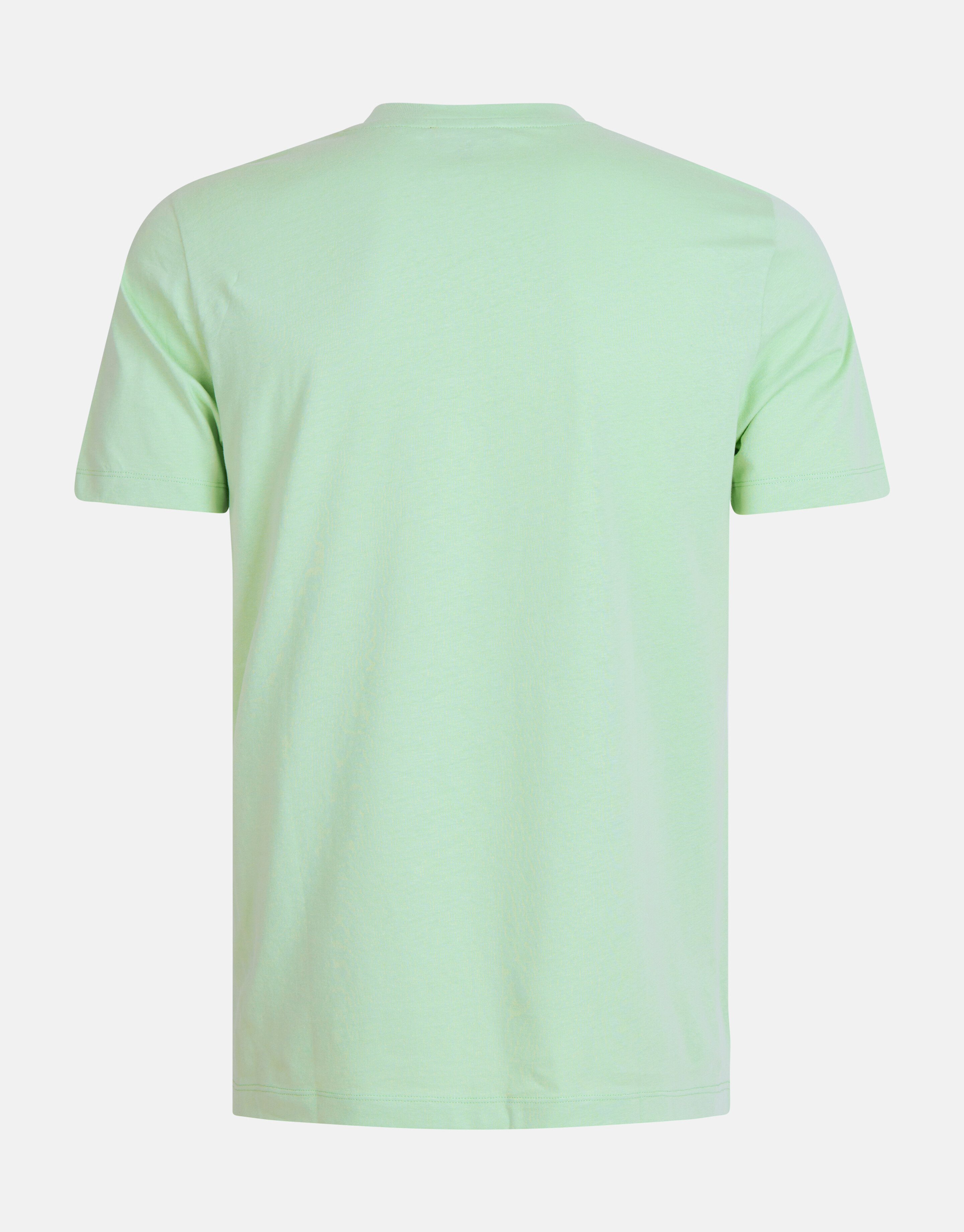 Artwork T-shirt Hellgrün SHOEBY MEN