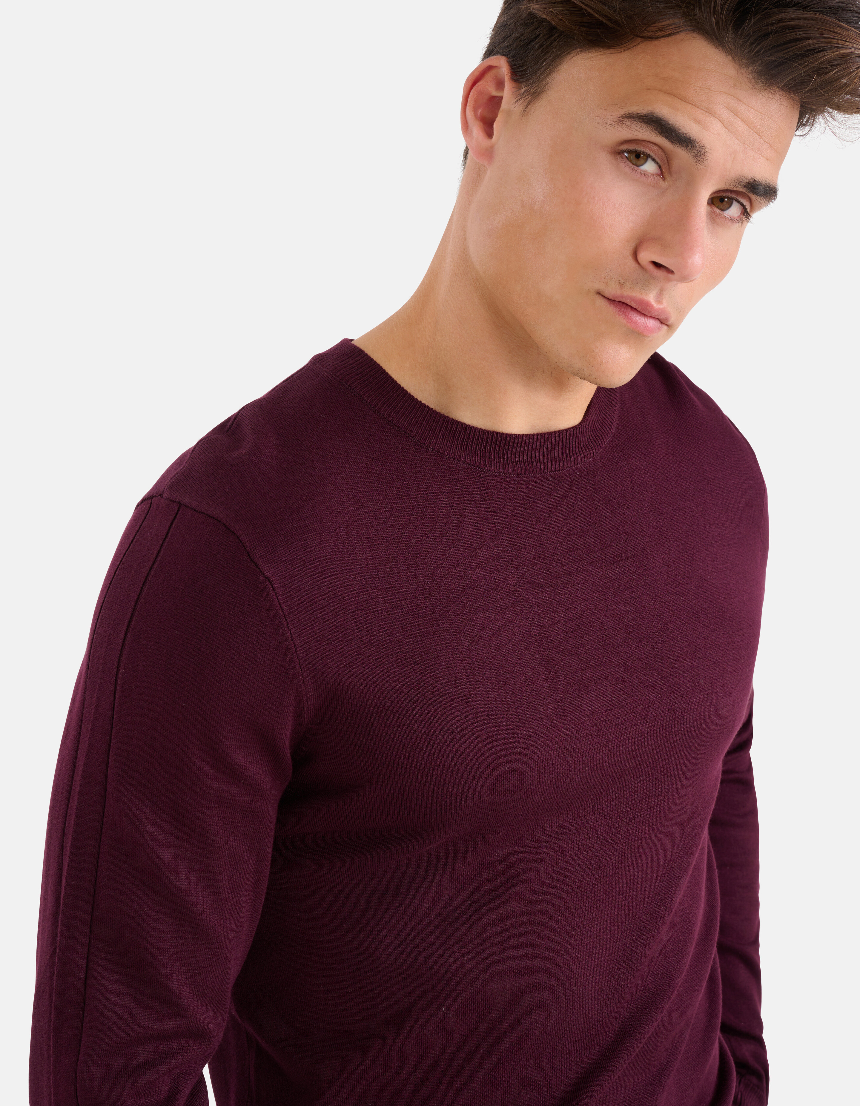 Crewneck Trui Bordeaux SHOEBY MEN