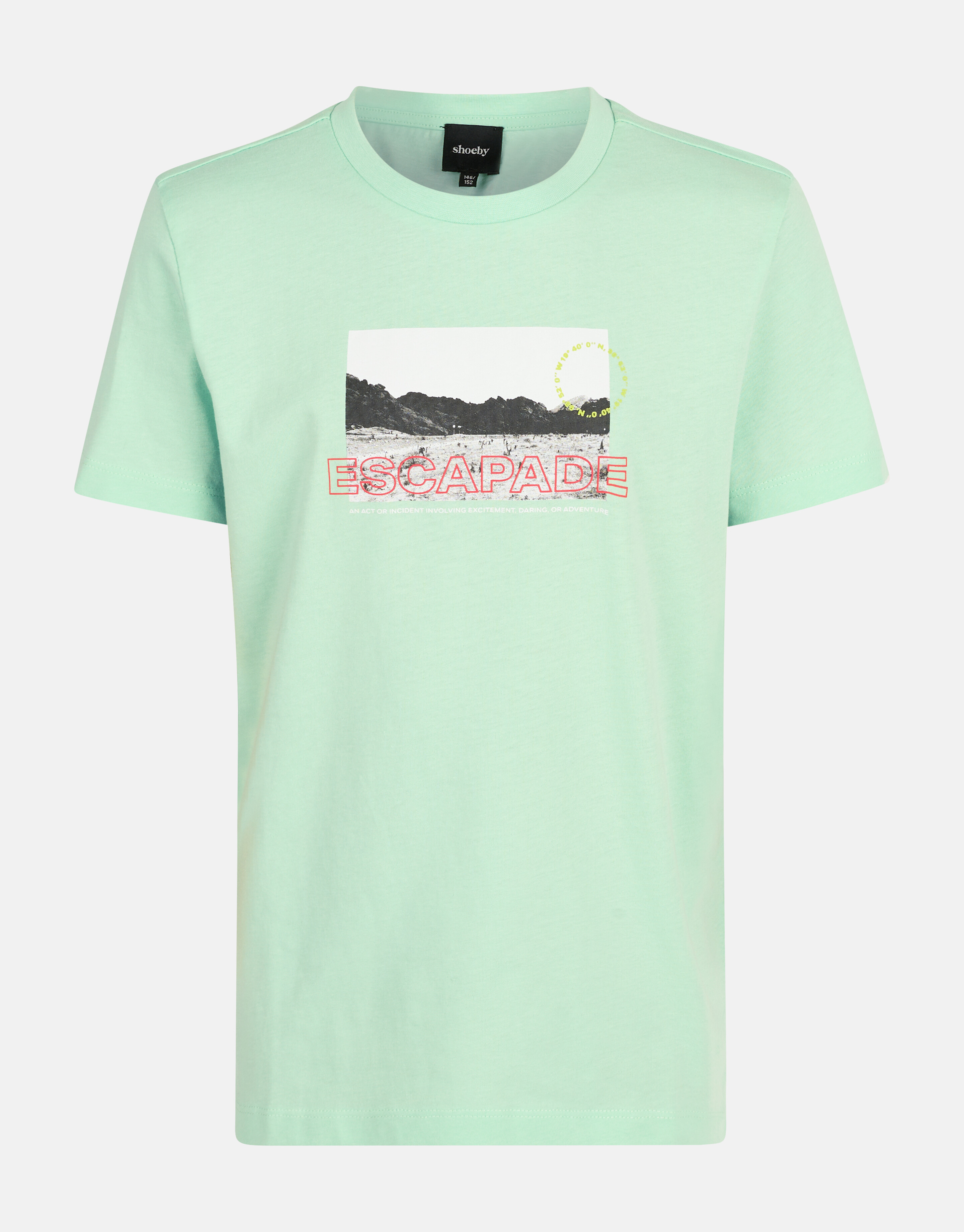 Artwork T-shirt Hellgrün SHOEBY BOYS
