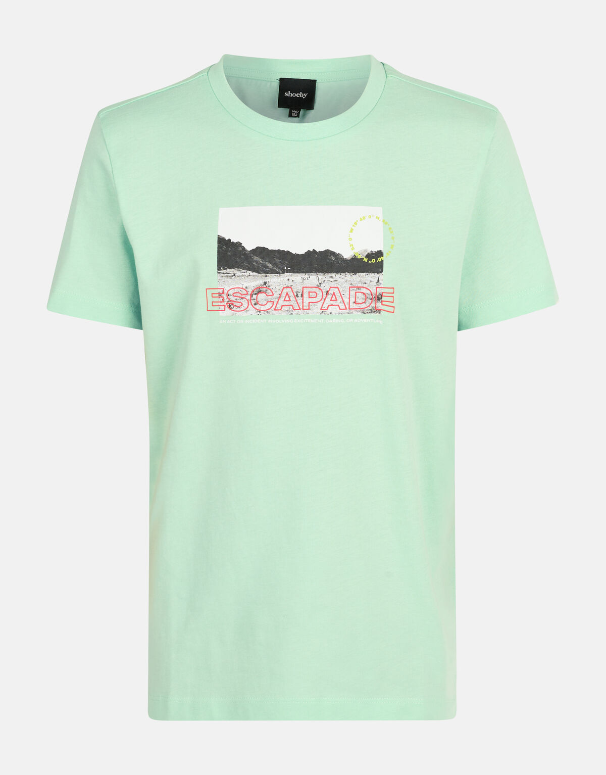 Artwork T-shirt Hellgrün SHOEBY BOYS
