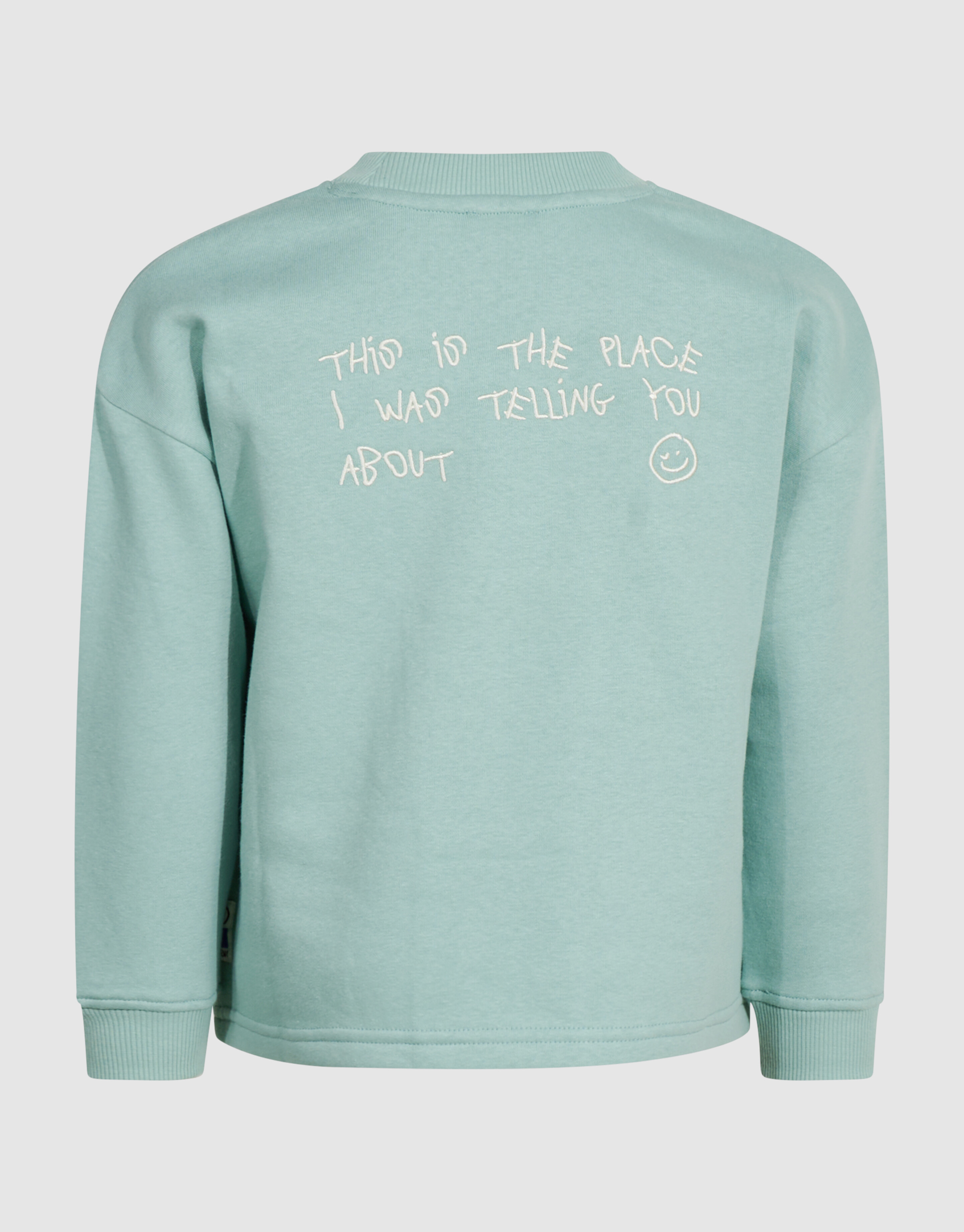 Oversized Artwork-Sweatshirt Hellgr&uuml;n SHOEBY BOYS