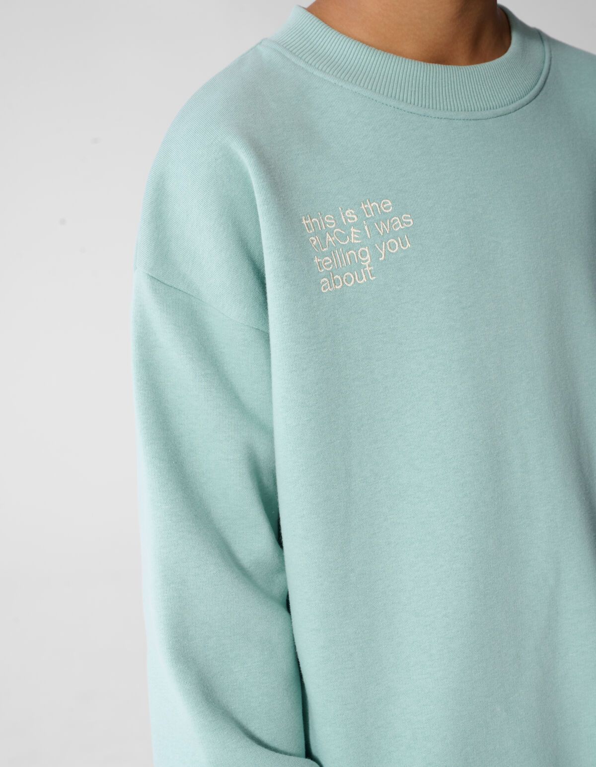Logo Sweatshirt Hellgr&uuml;n SHOEBY BOYS