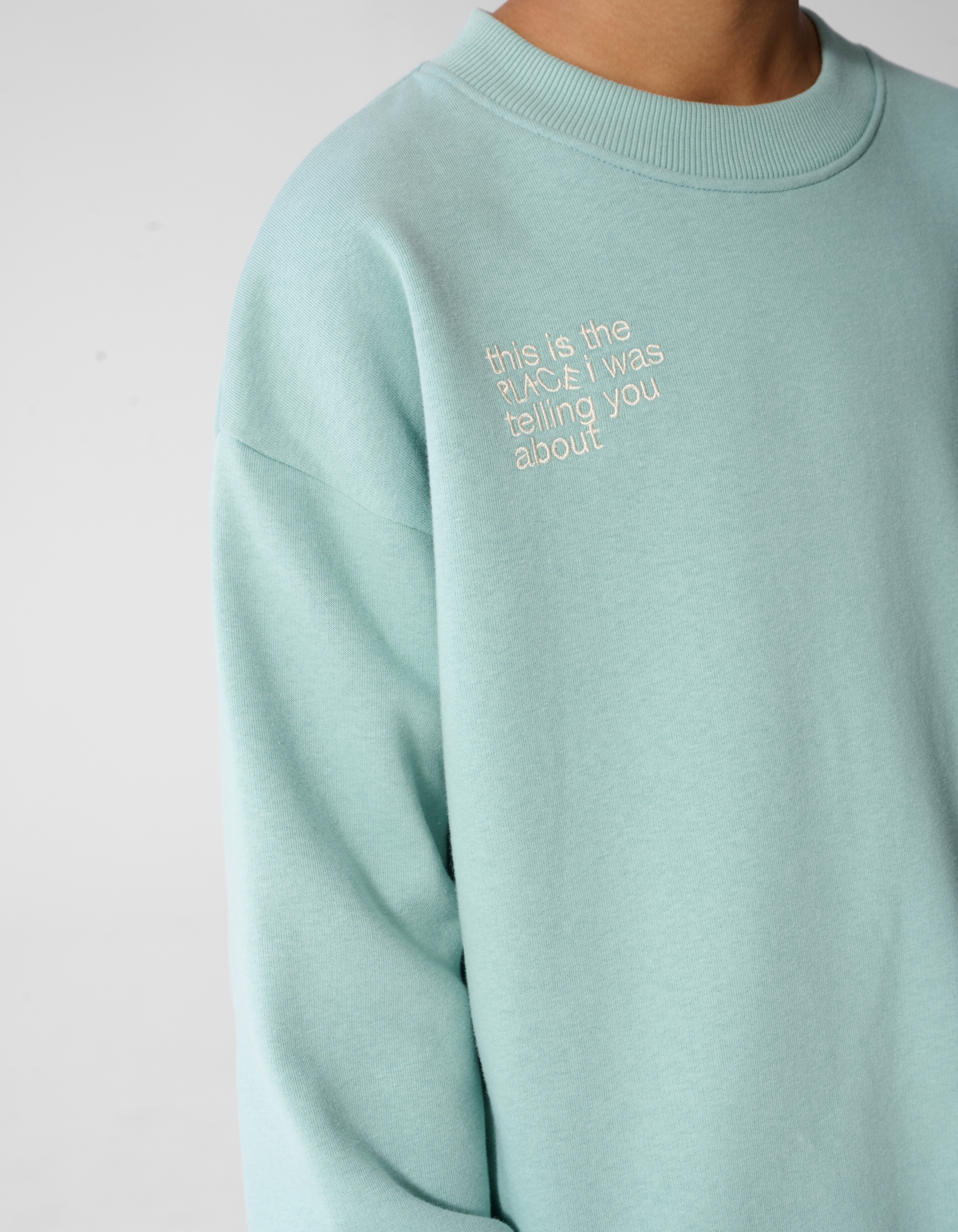 Logo Sweatshirt Hellgr&uuml;n SHOEBY BOYS