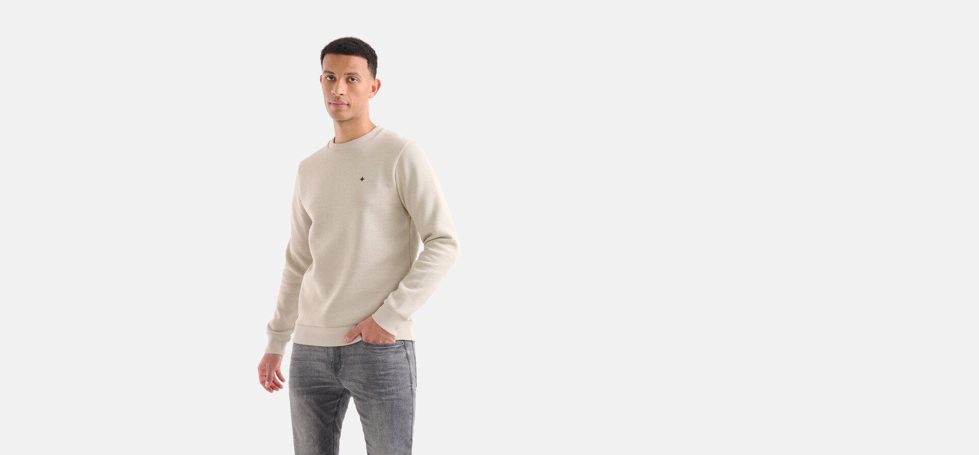 Glitzer-Pullover Beige SHOEBY MEN