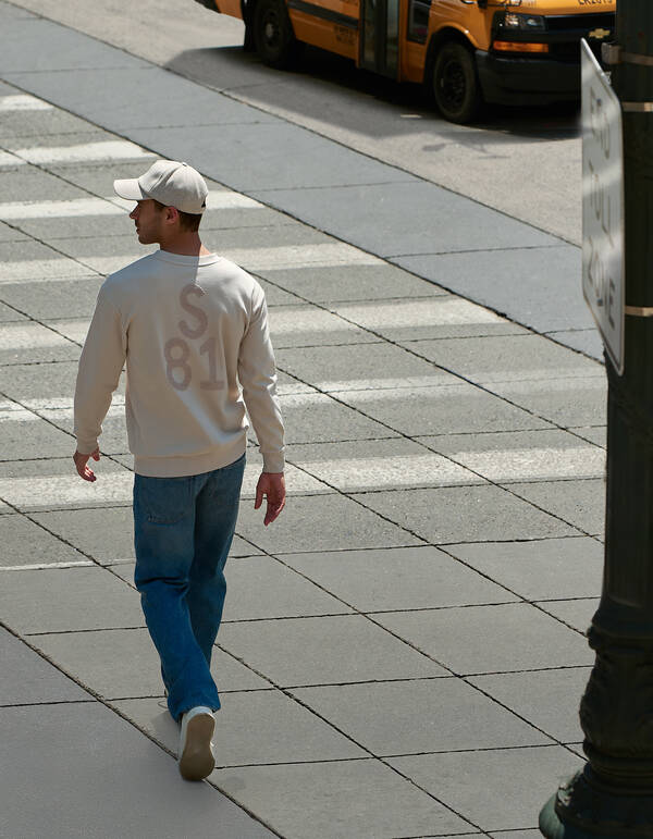Strickpullover mit Logo in Sand SHOEBY MEN