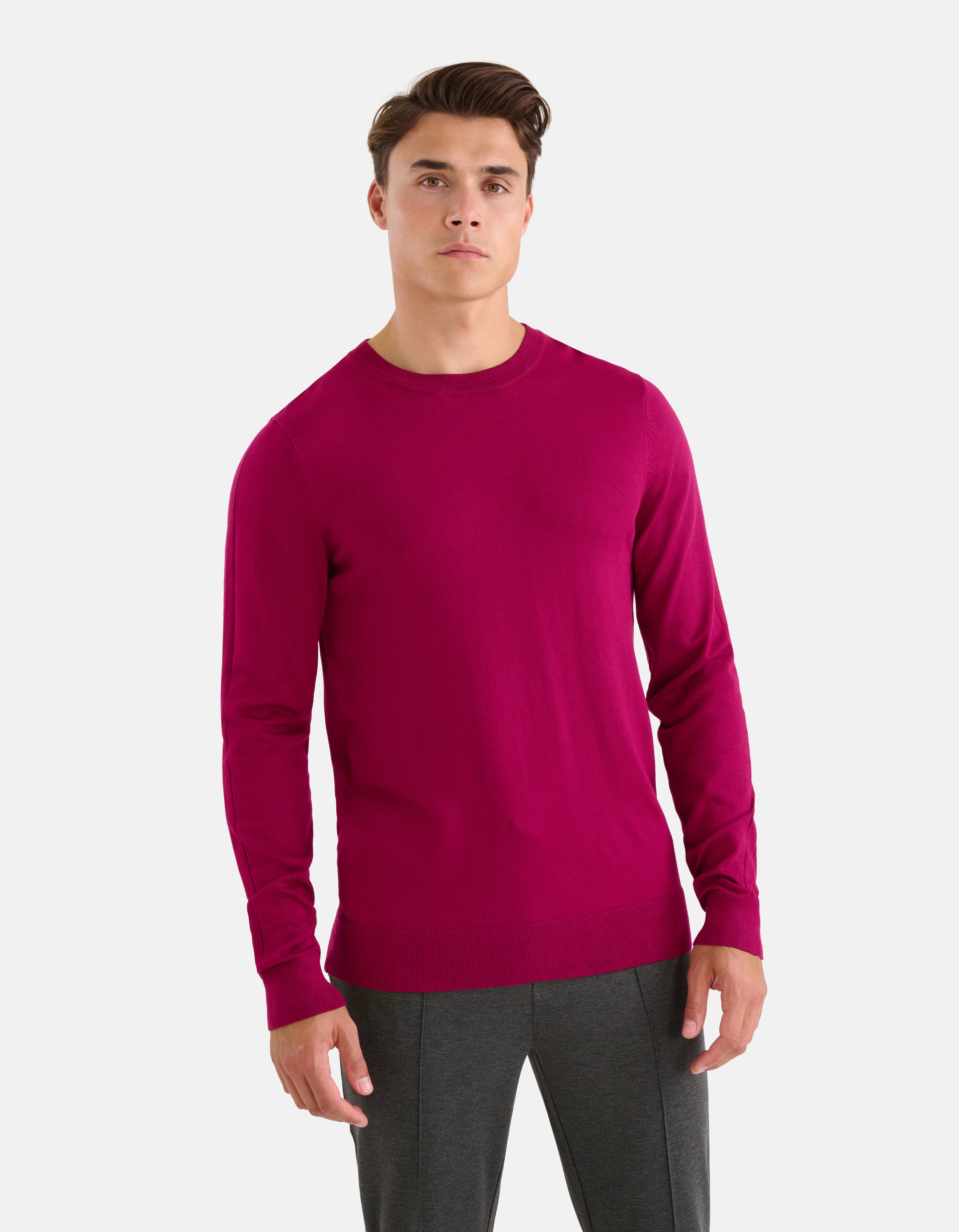 Pullover mit Rundhalsausschnitt Lila SHOEBY MEN