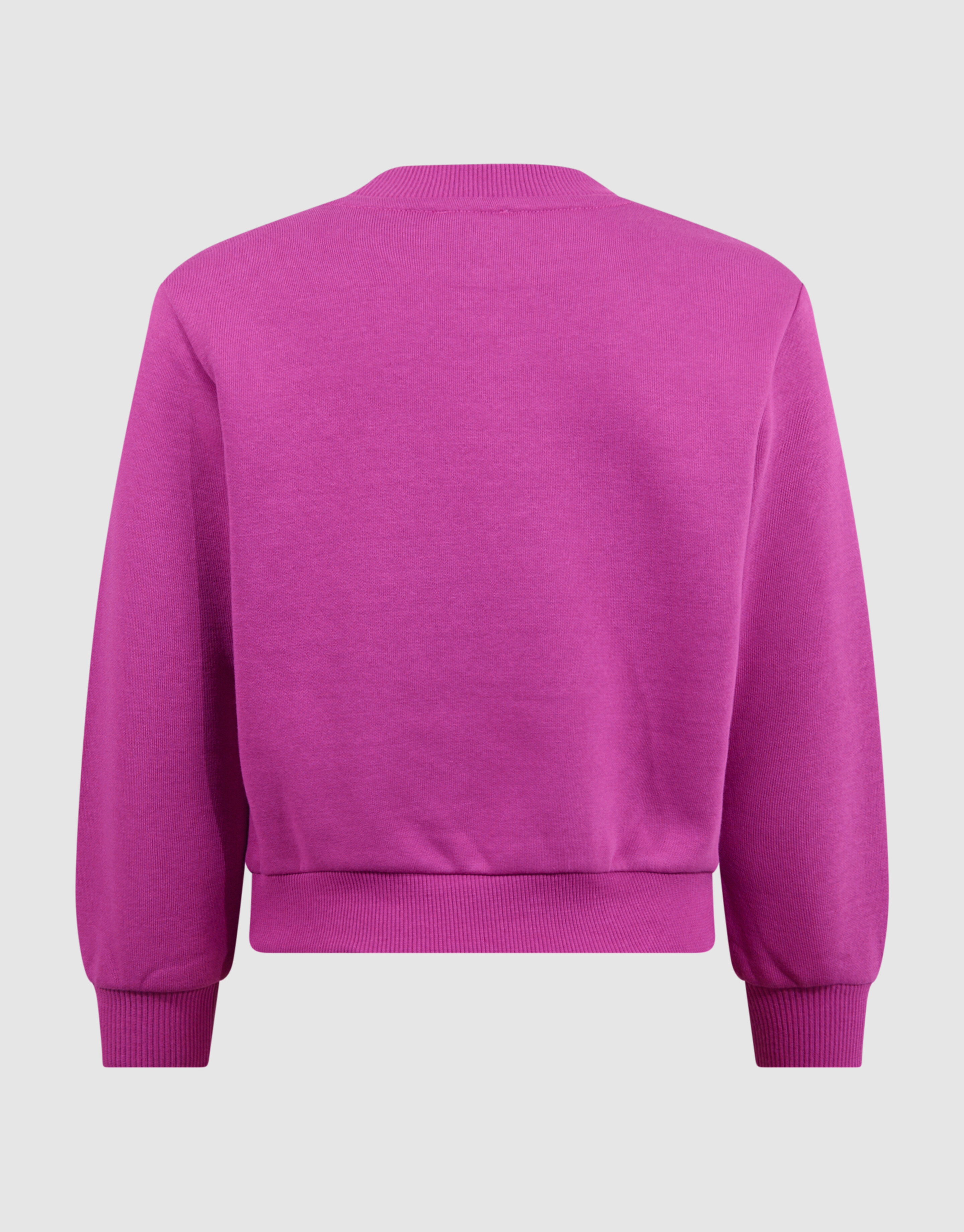 Two Way Paillettenpullover Roze SHOEBY GIRLS