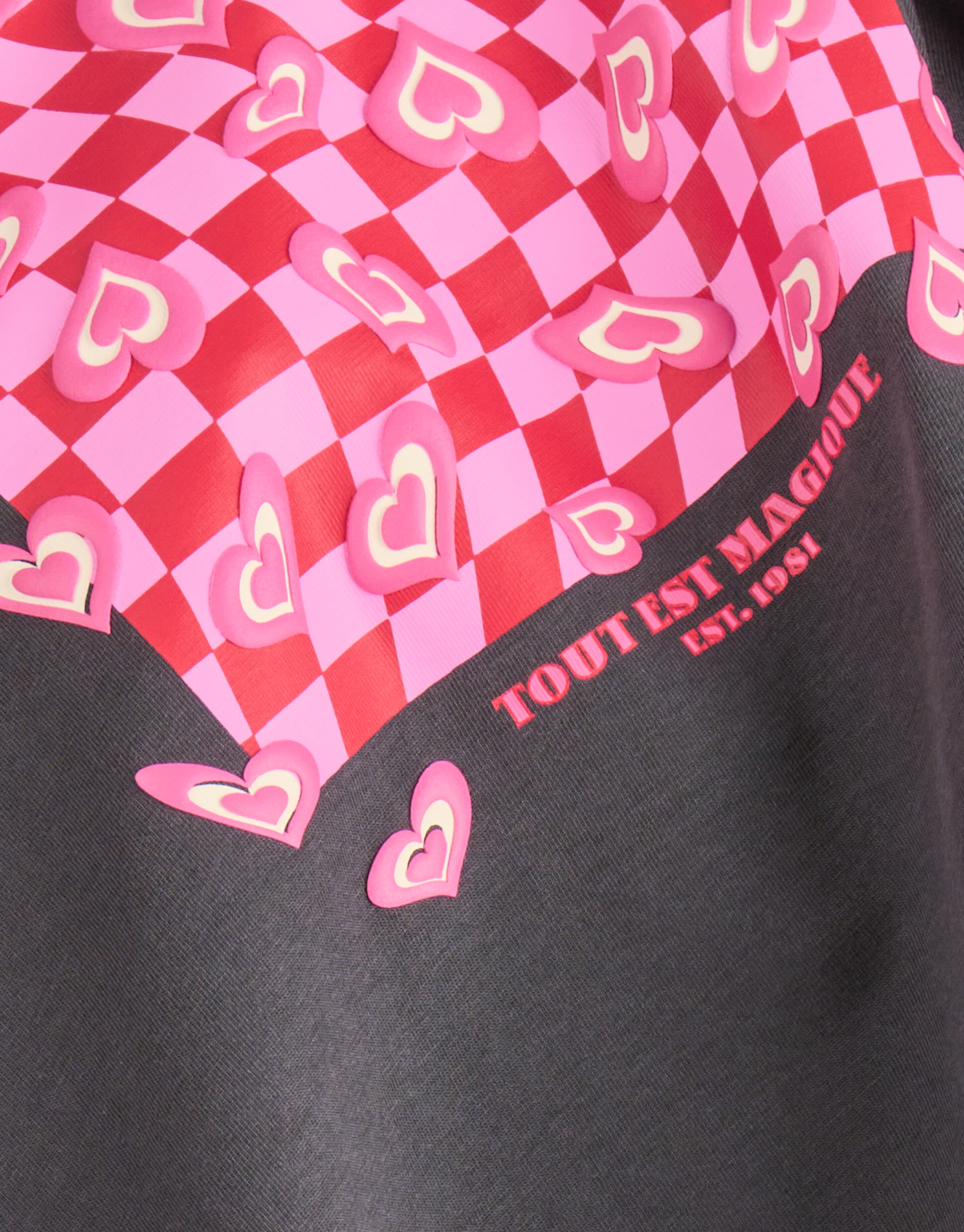 Artwork T-shirt Dunkelgrau SHOEBY GIRLS