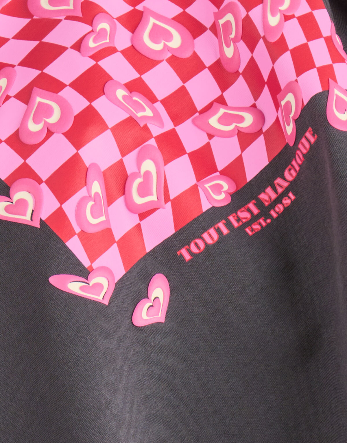 Artwork T-shirt Dunkelgrau SHOEBY GIRLS