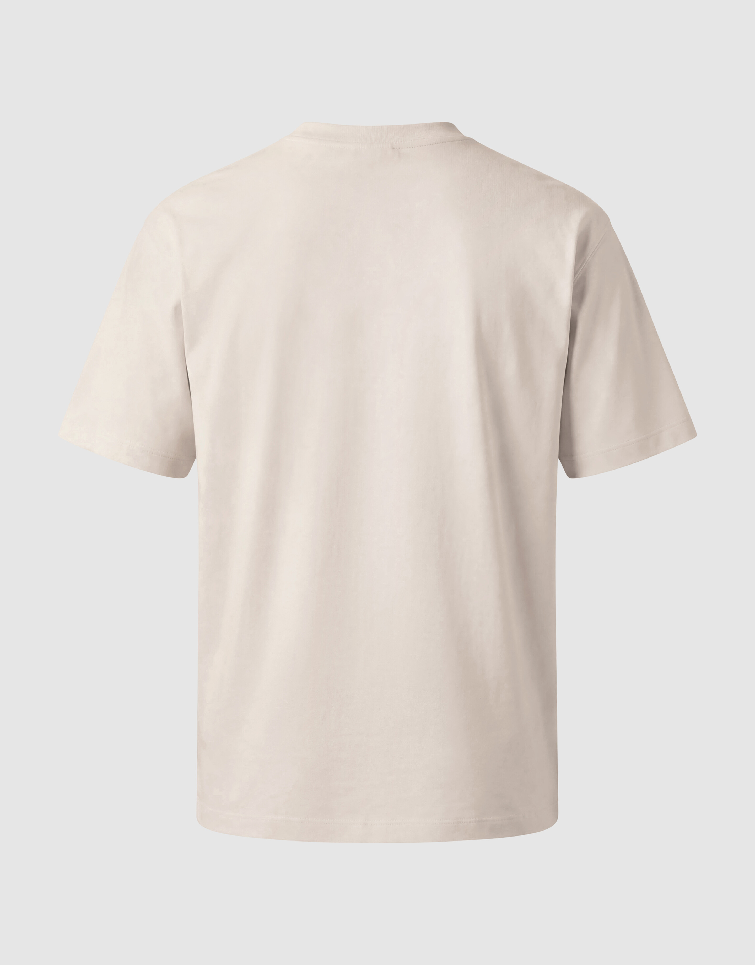 Twill-Grafik-T-Shirt Hellgrau SHOEBY MEN