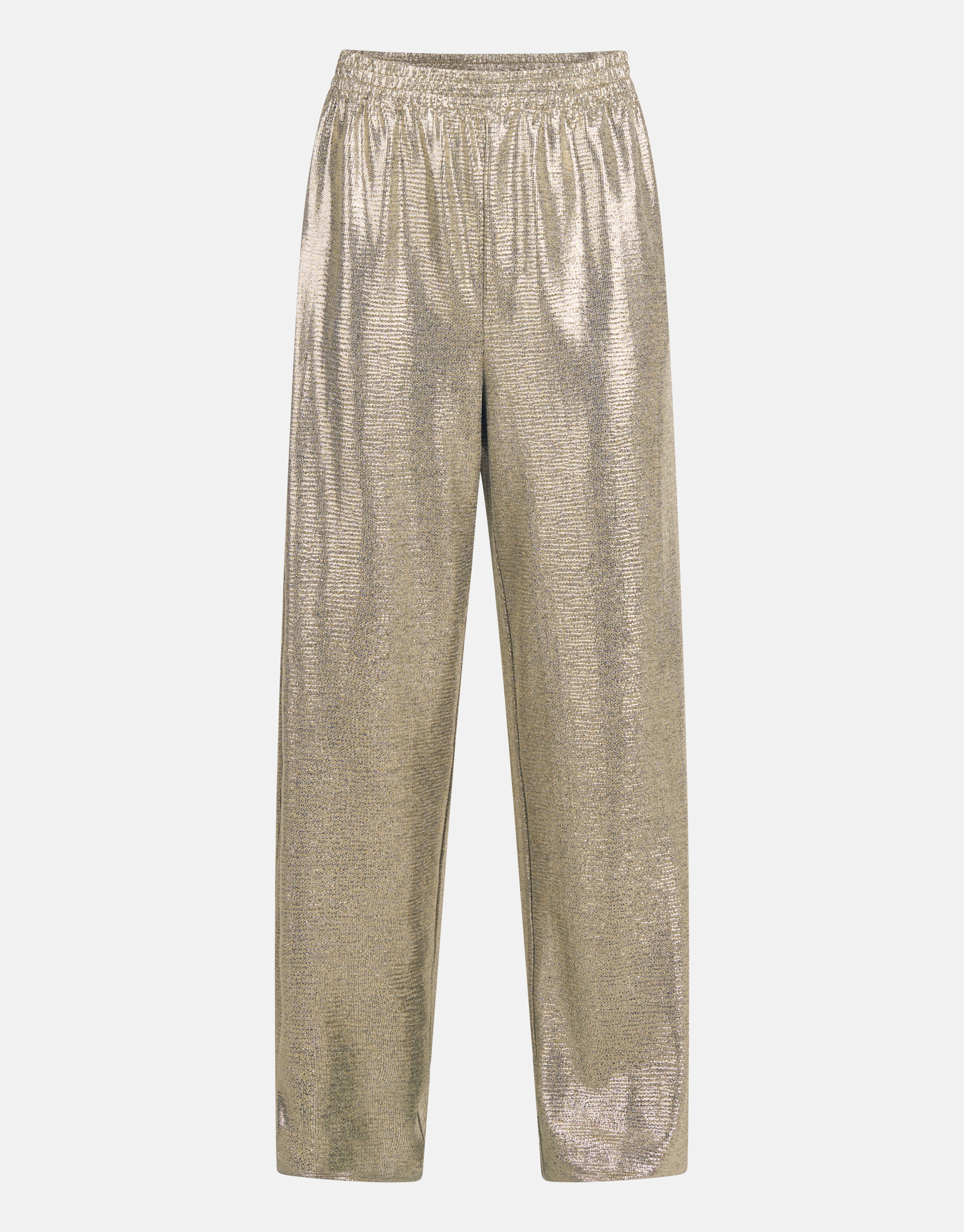Beschichtete Hose Silber SHOEBY WOMEN