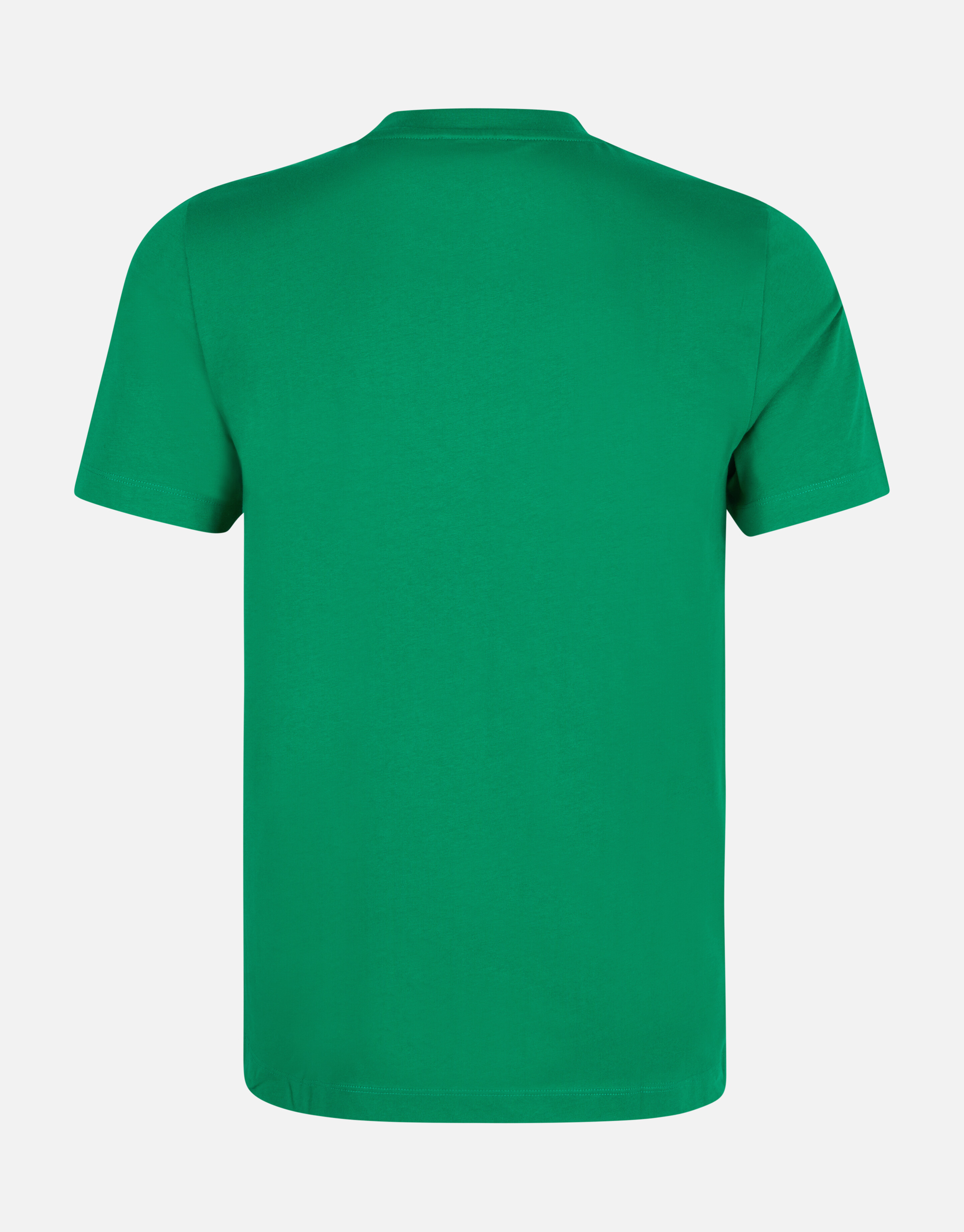 Regular Fit T-shirt Grün SHOEBY MEN