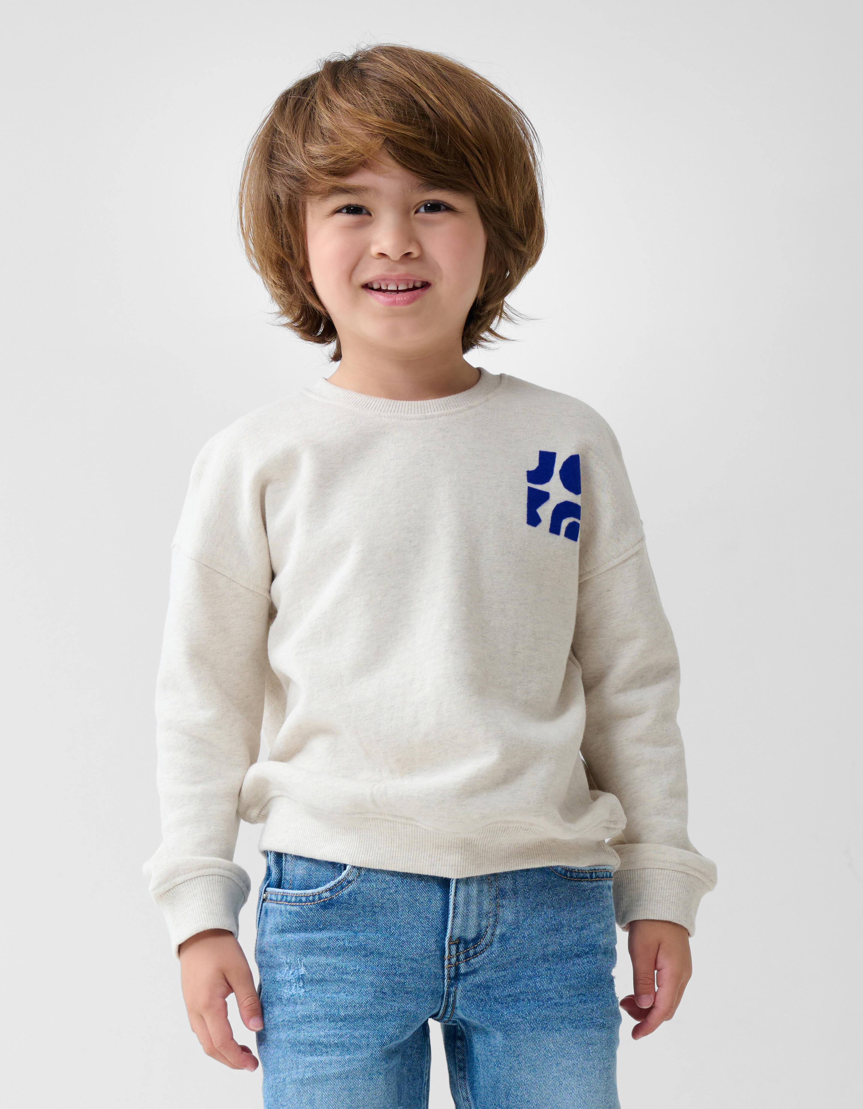 Artwork Pullover Hellgrau SHOEBY BOYS