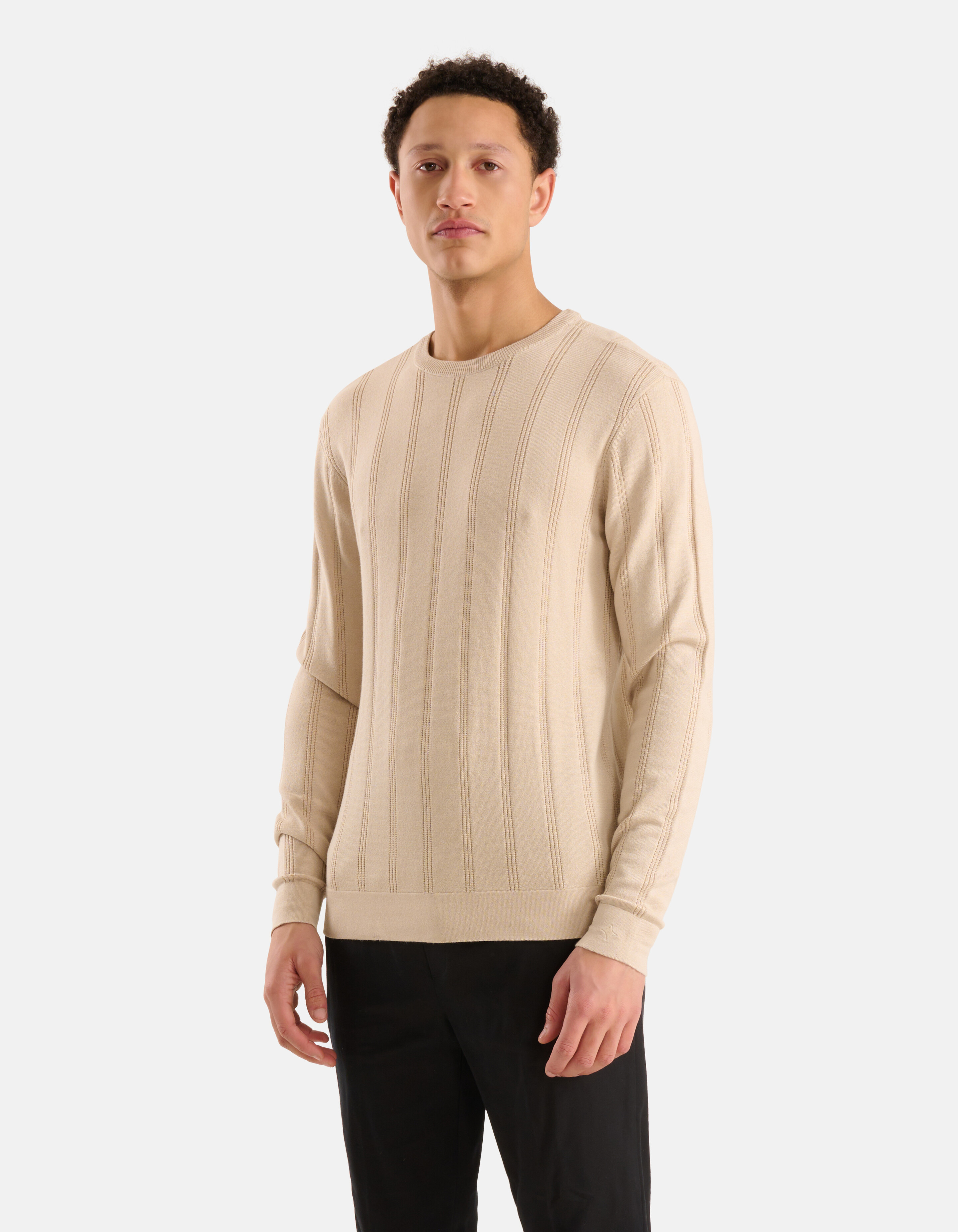Gestreifter Pullover mit Rundhalsausschnitt Beige SHOEBY MEN