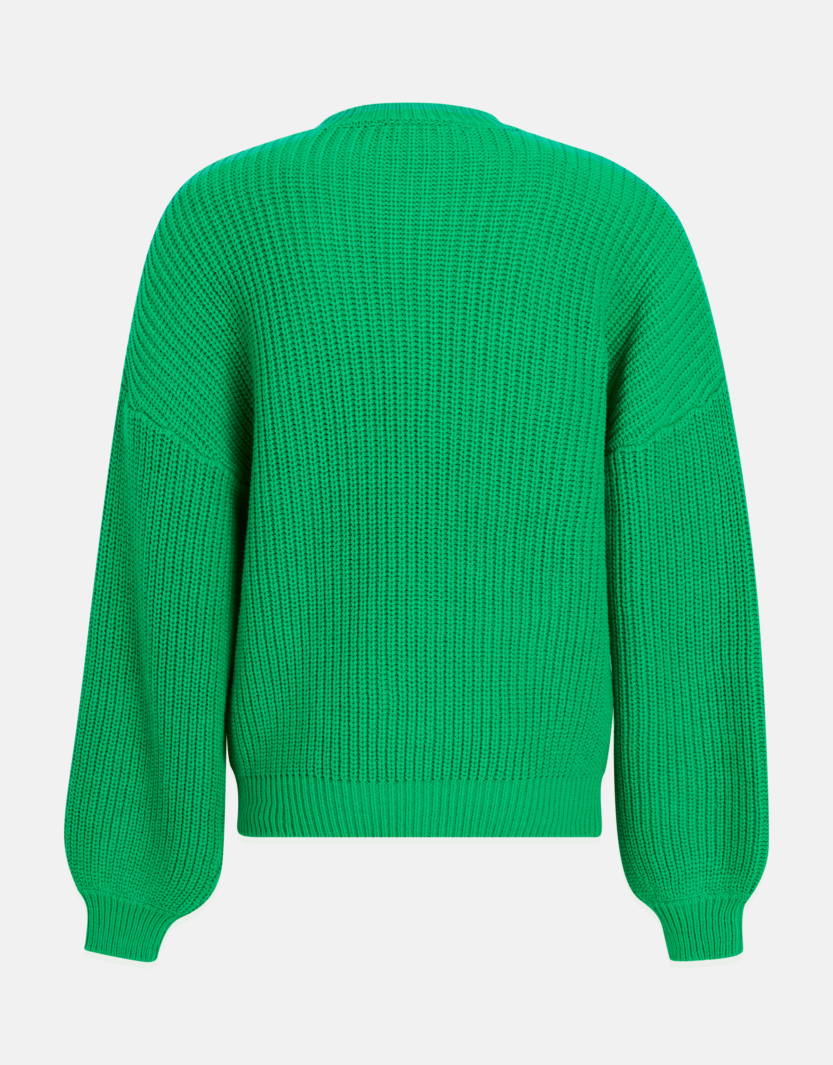 Artwork Trui Groen By Lizzy SHOEBY WOMEN