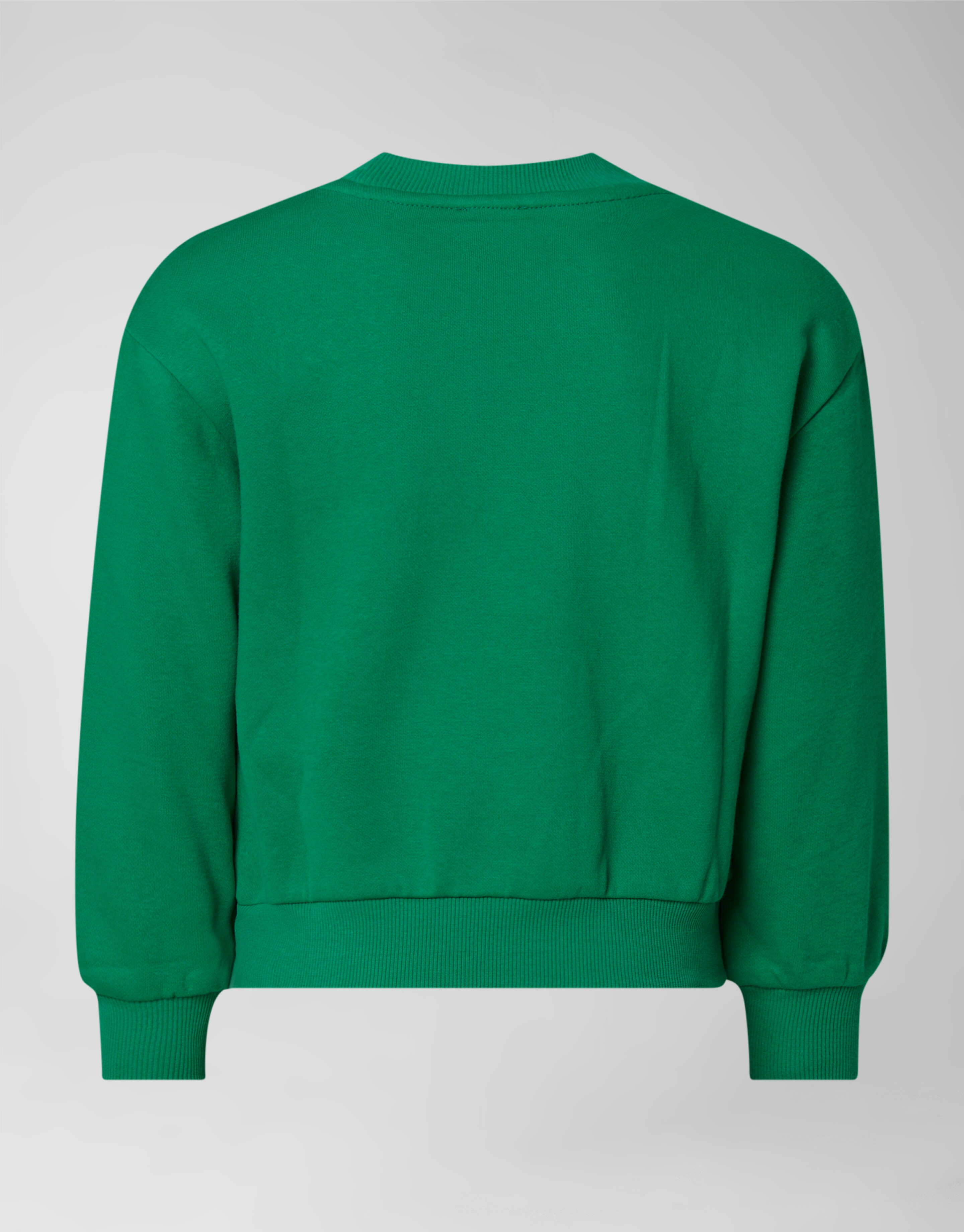 Artwork Pullover Grün SHOEBY GIRLS